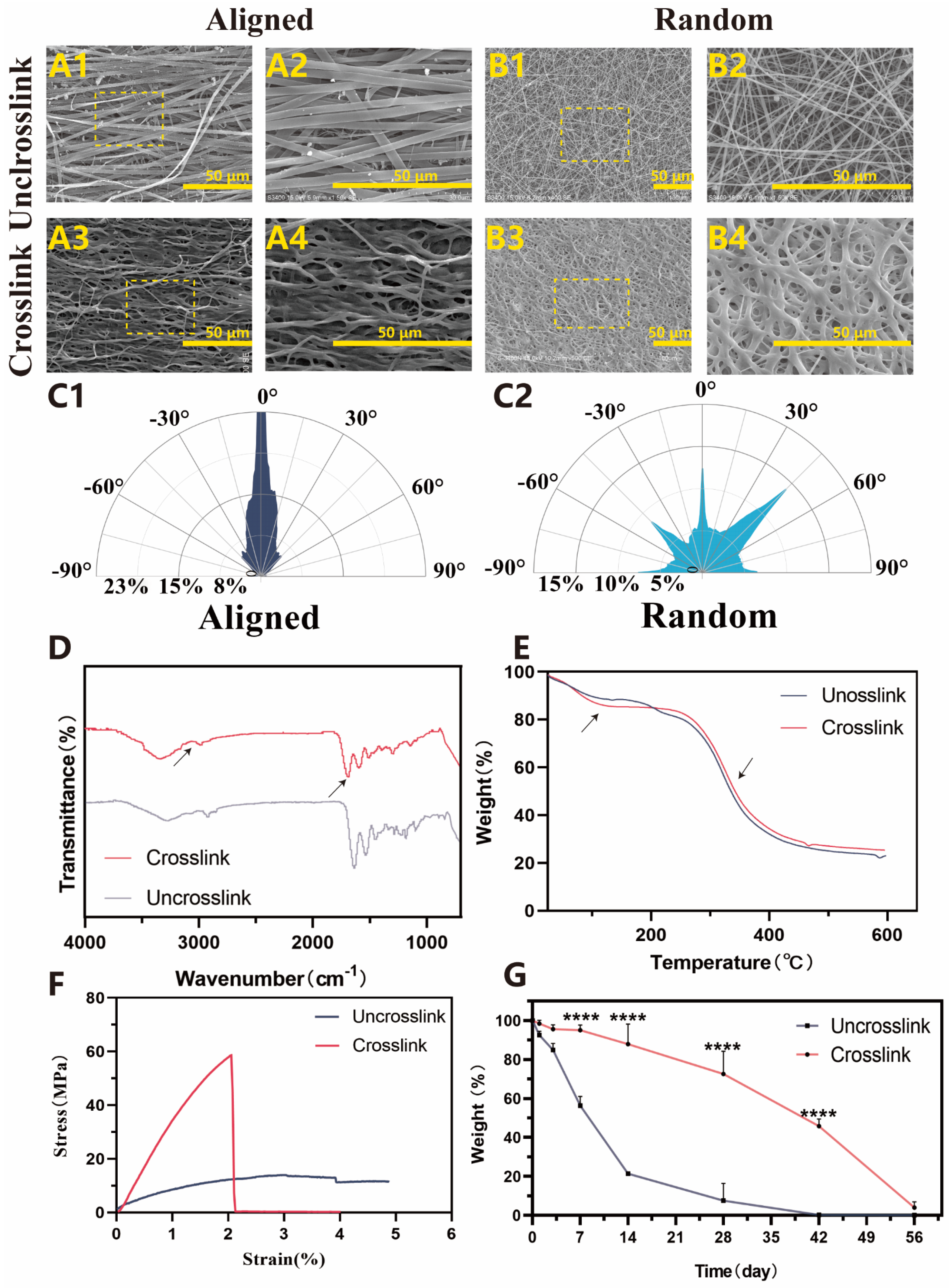 Bioengineering 11 00772 g003