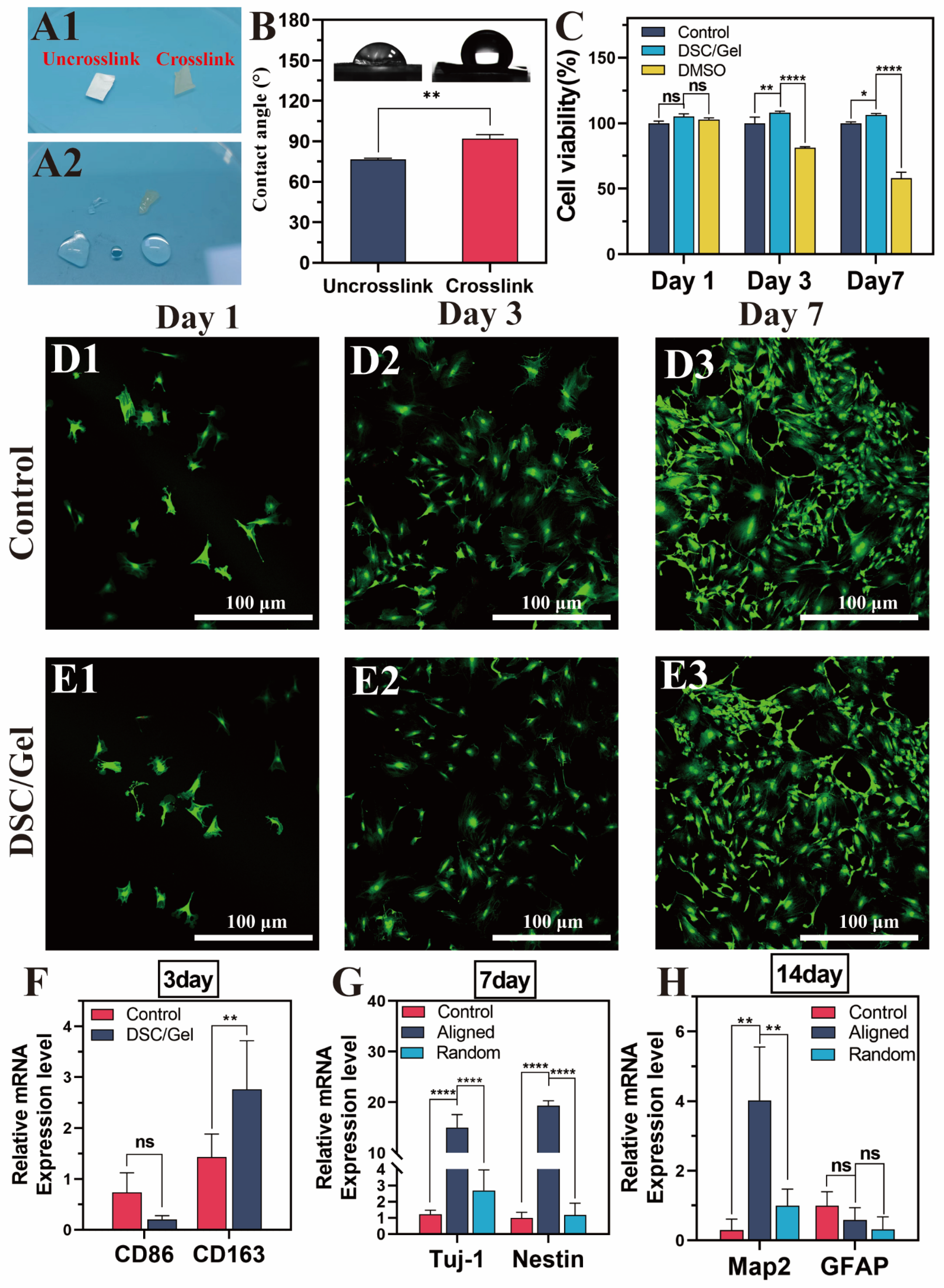 Bioengineering 11 00772 g004