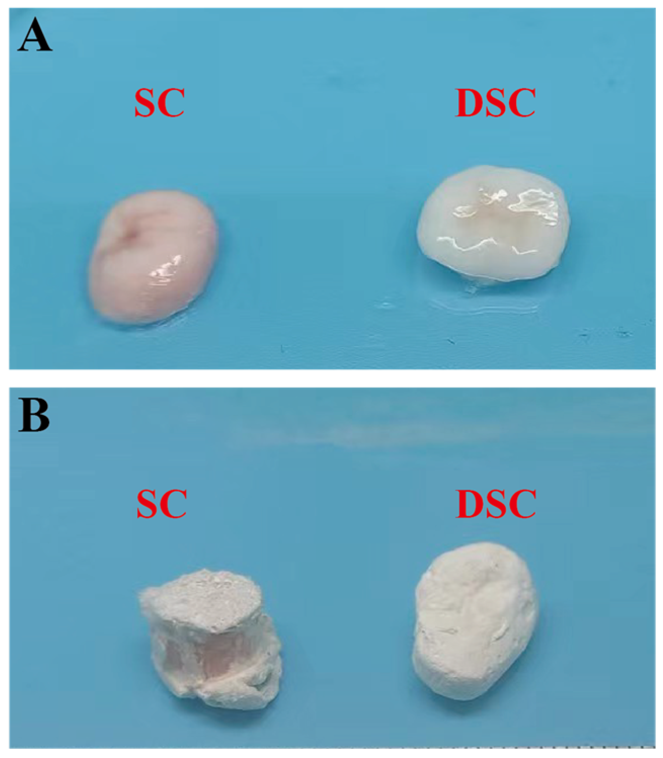 Bioengineering 11 00772 g0a1