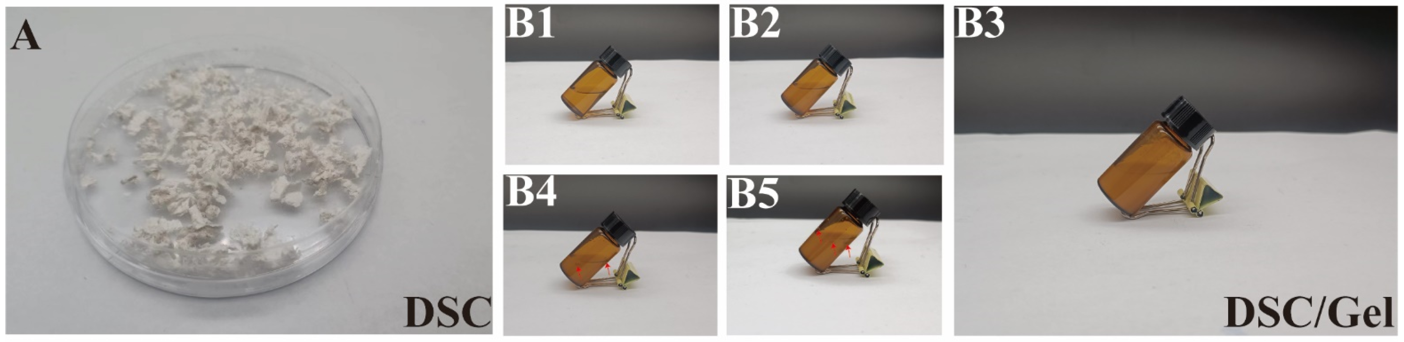 Bioengineering 11 00772 g0a2