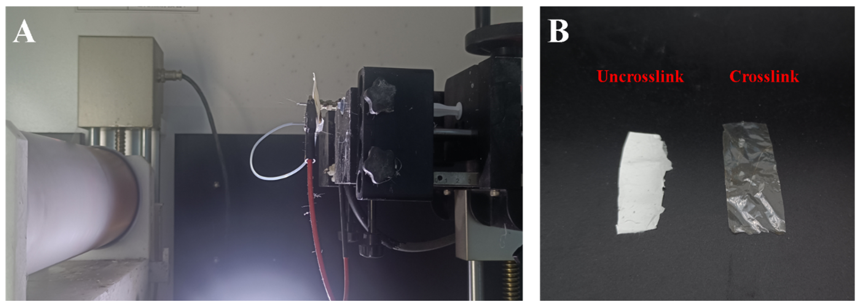 Bioengineering 11 00772 g0a3