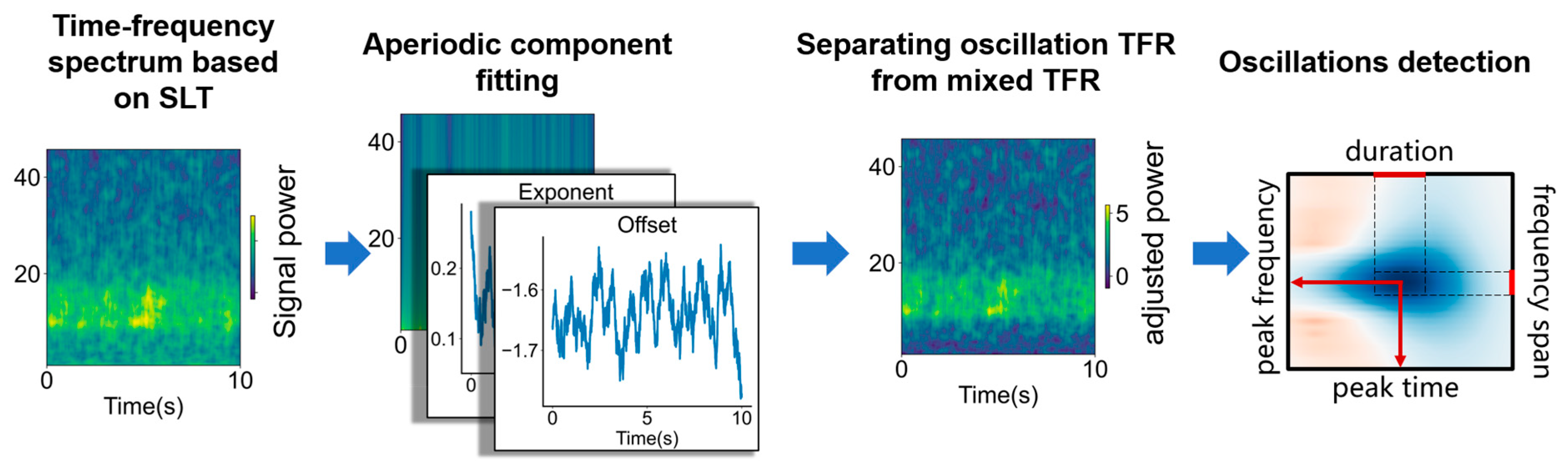 Bioengineering 11 00773 g001
