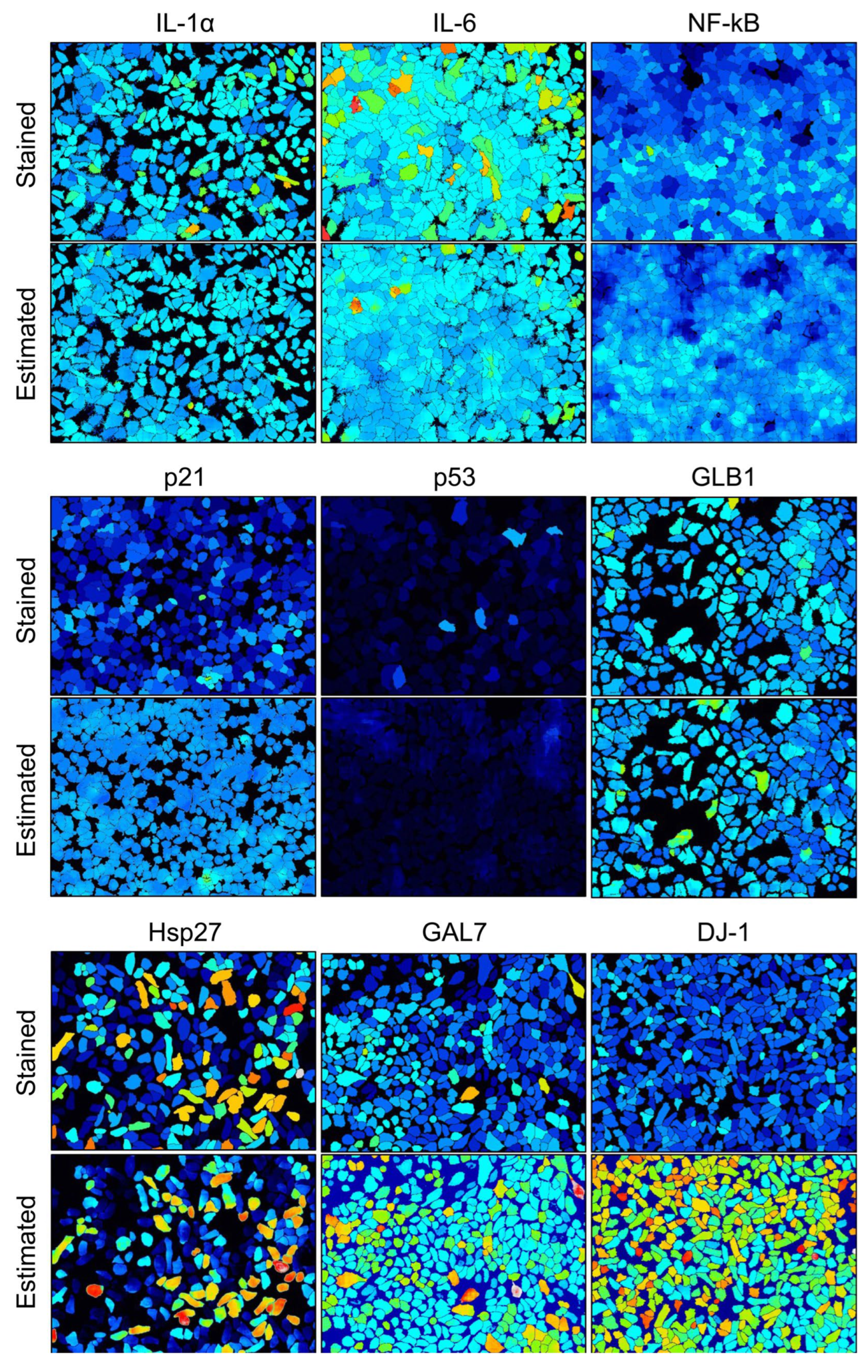 Bioengineering 11 00774 g002