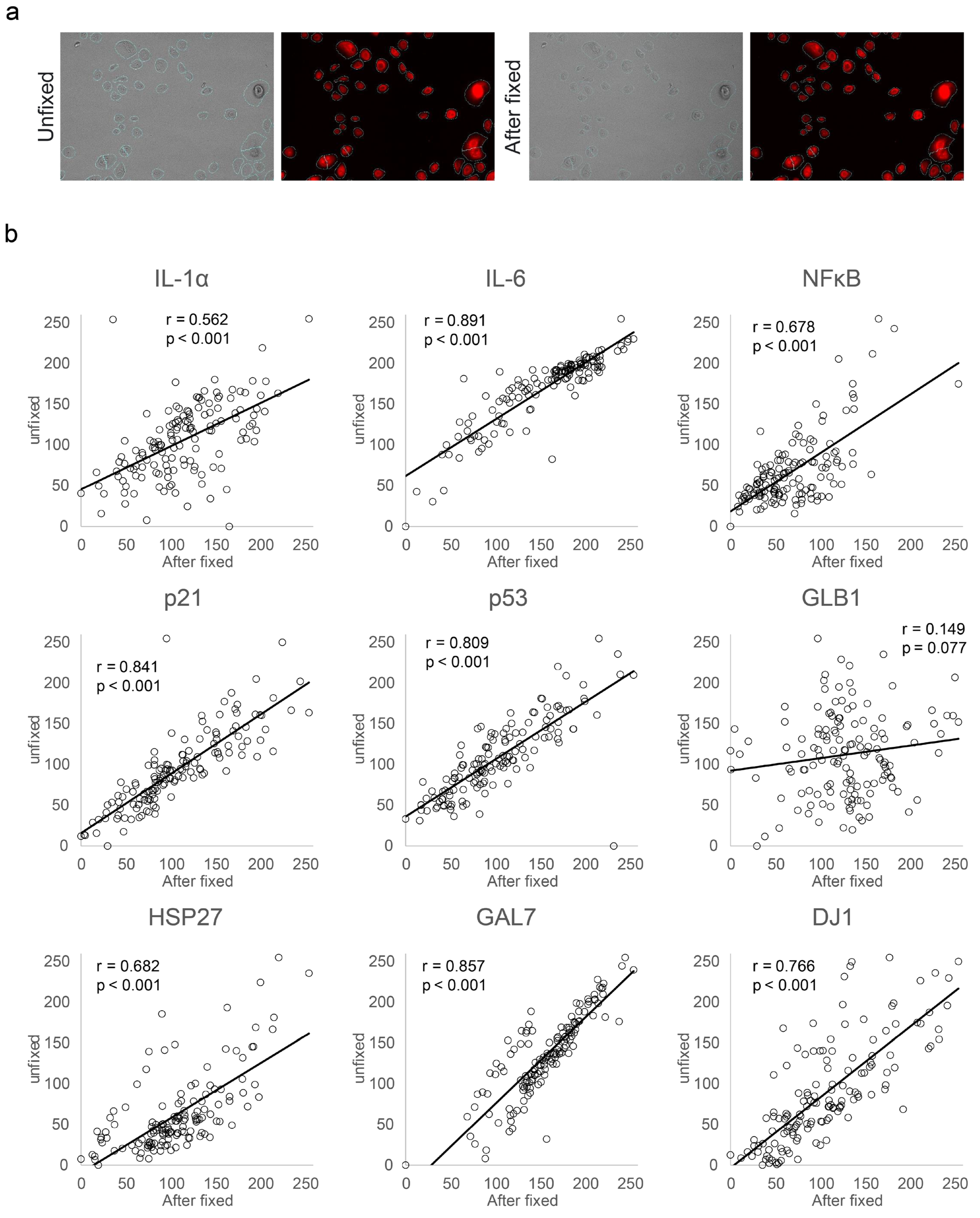 Bioengineering 11 00774 g004