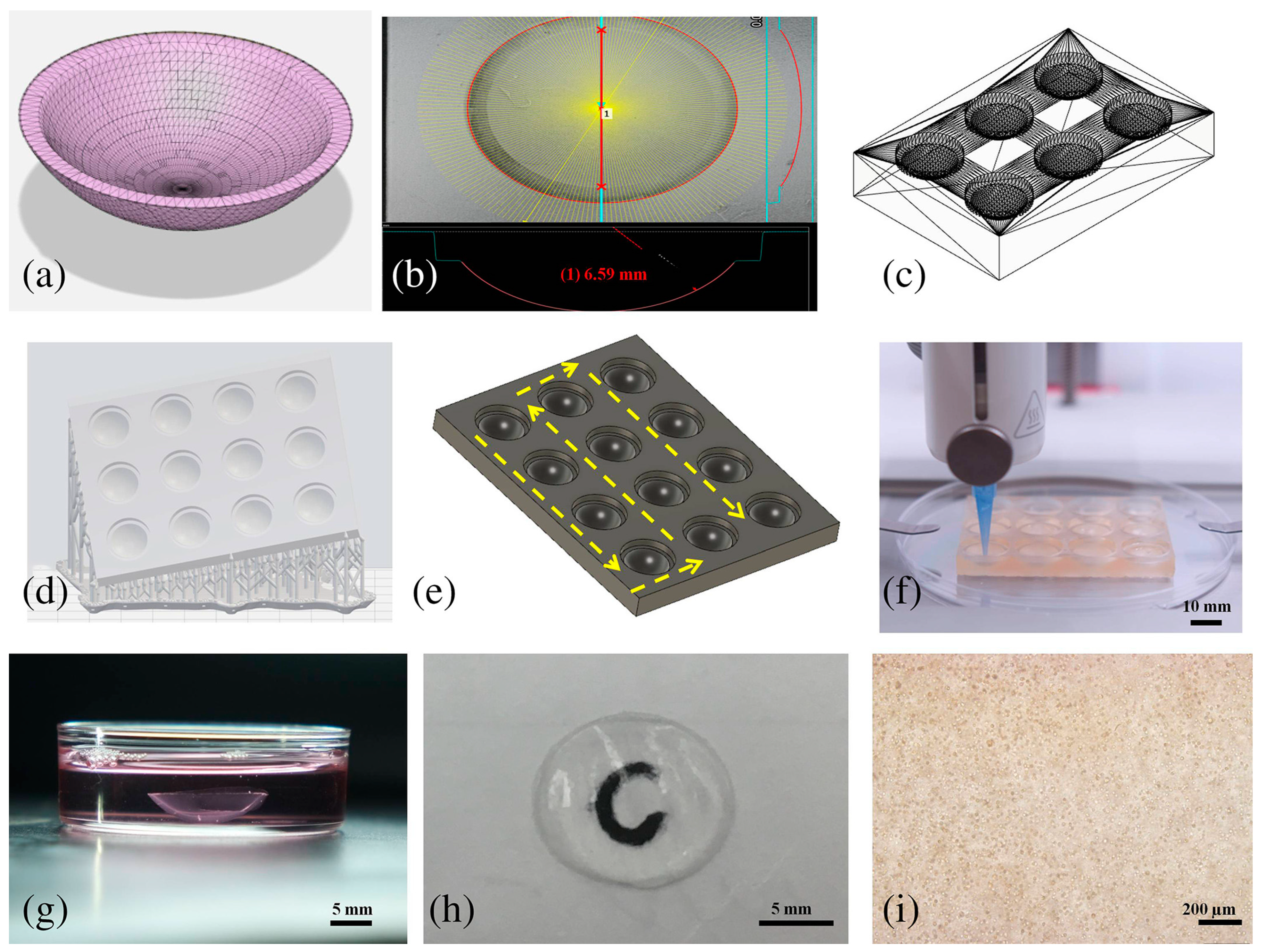 Bioengineering 11 00777 g006