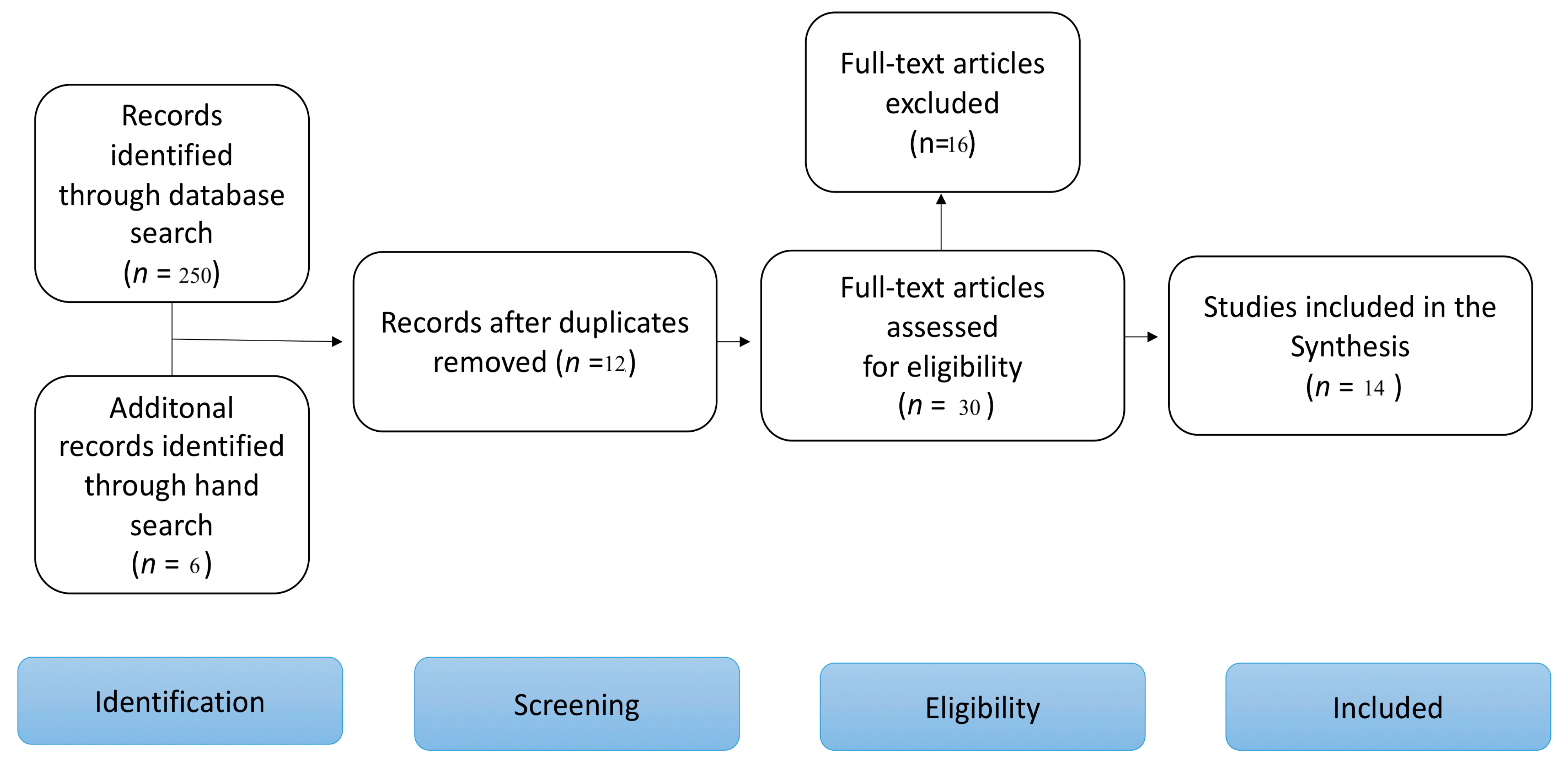 Bioengineering 11 00778 g001