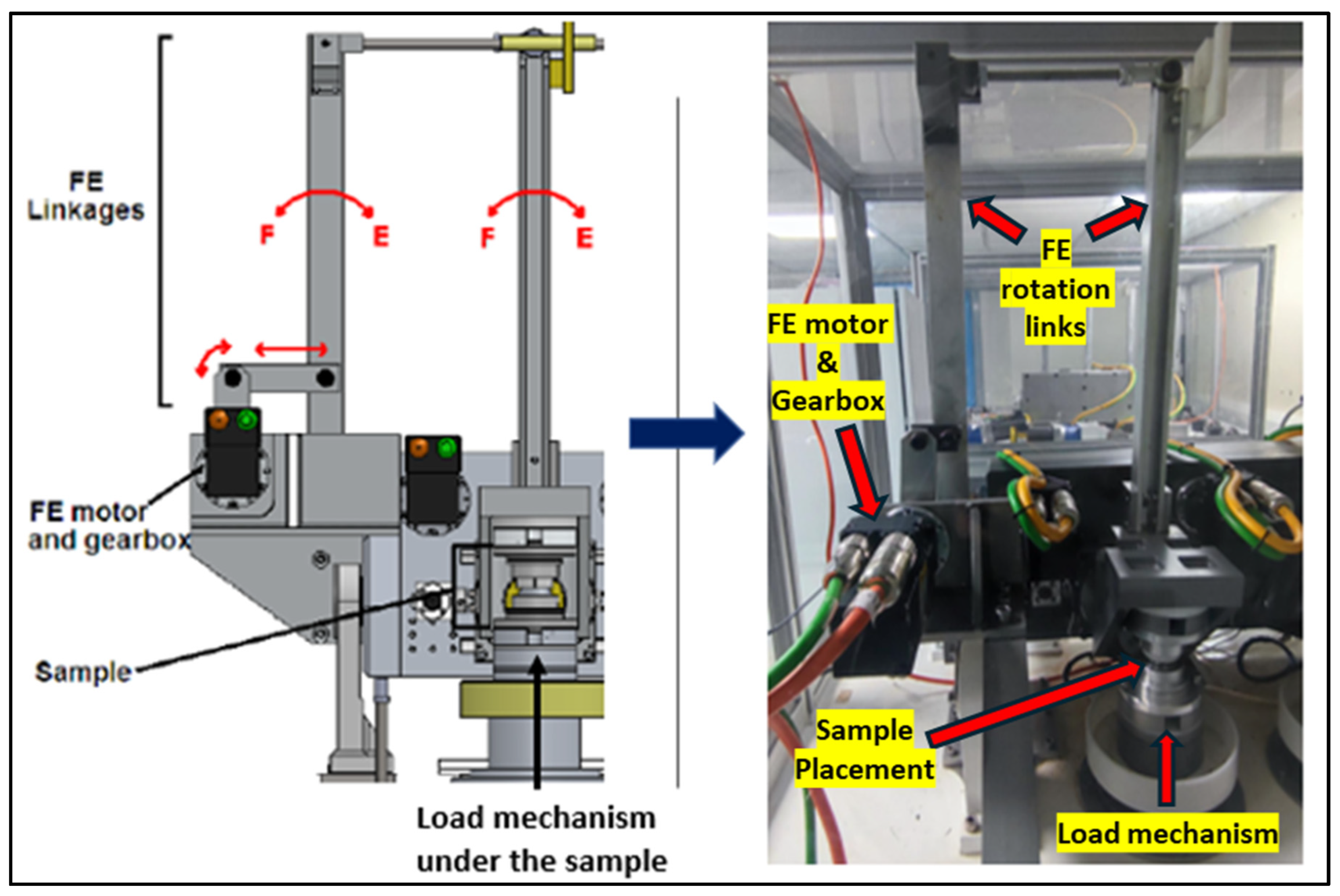 Bioengineering 11 00779 g001 Bioengineering 11 00779 g001