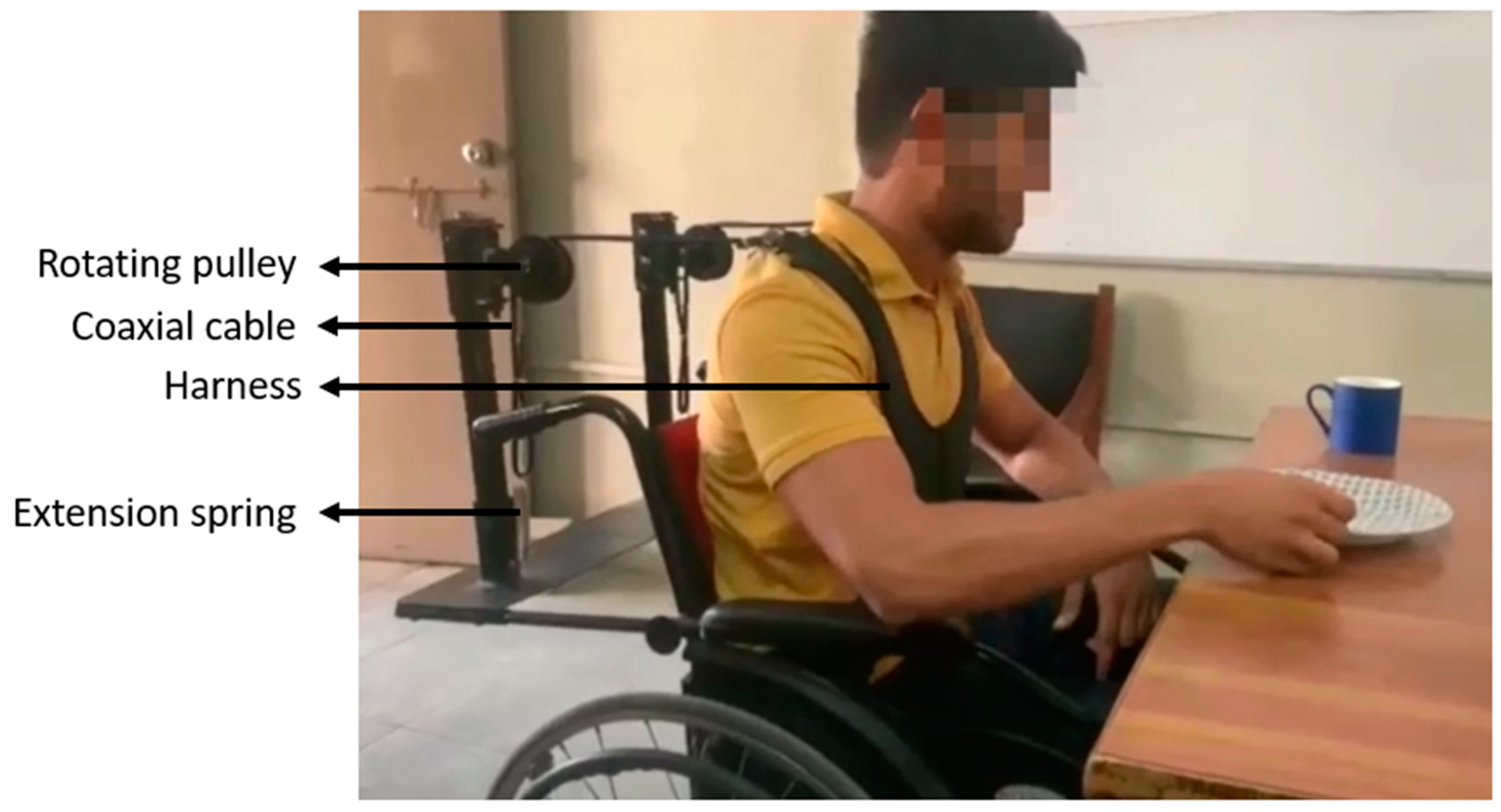 Bioengineering 11 00780 g001