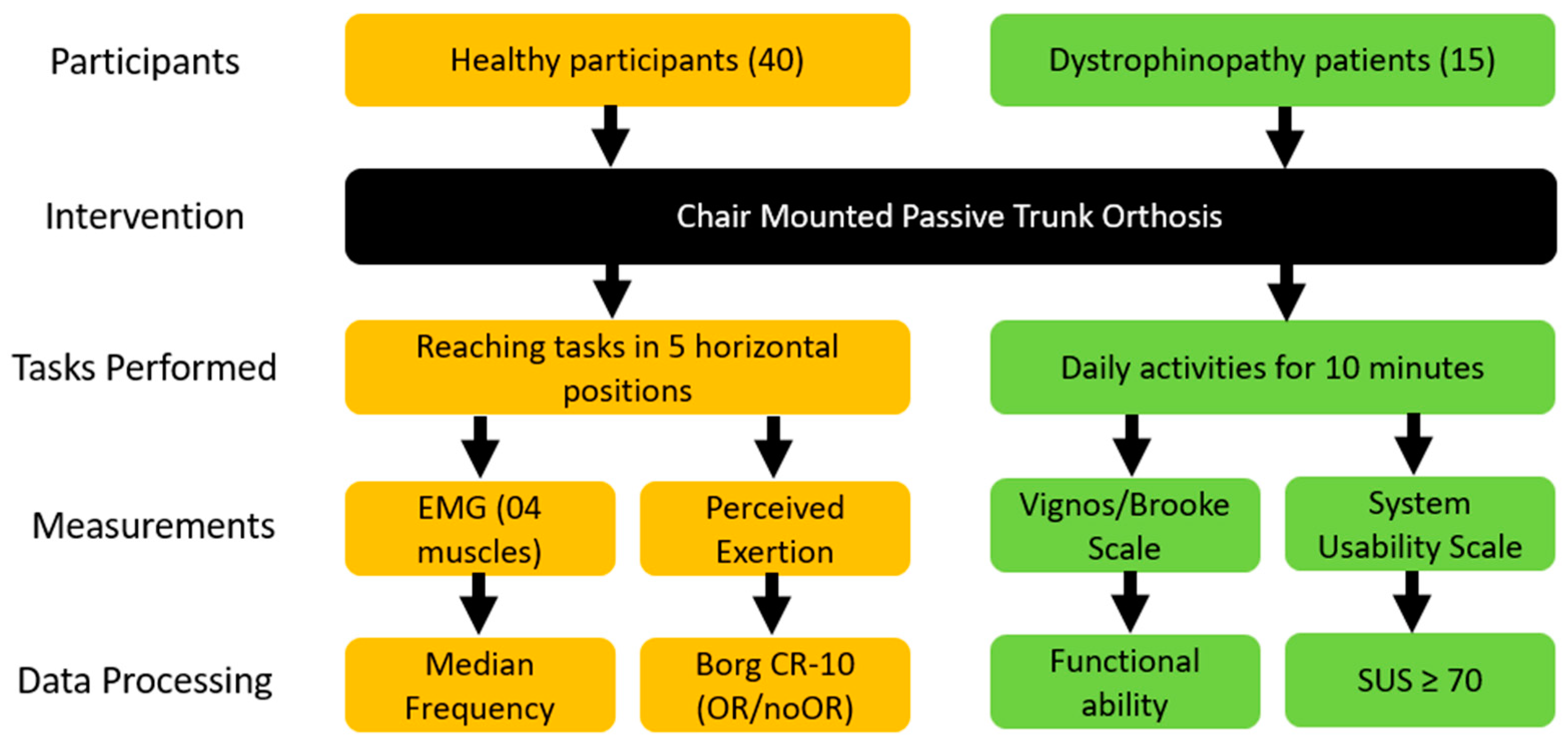 Bioengineering 11 00780 g004