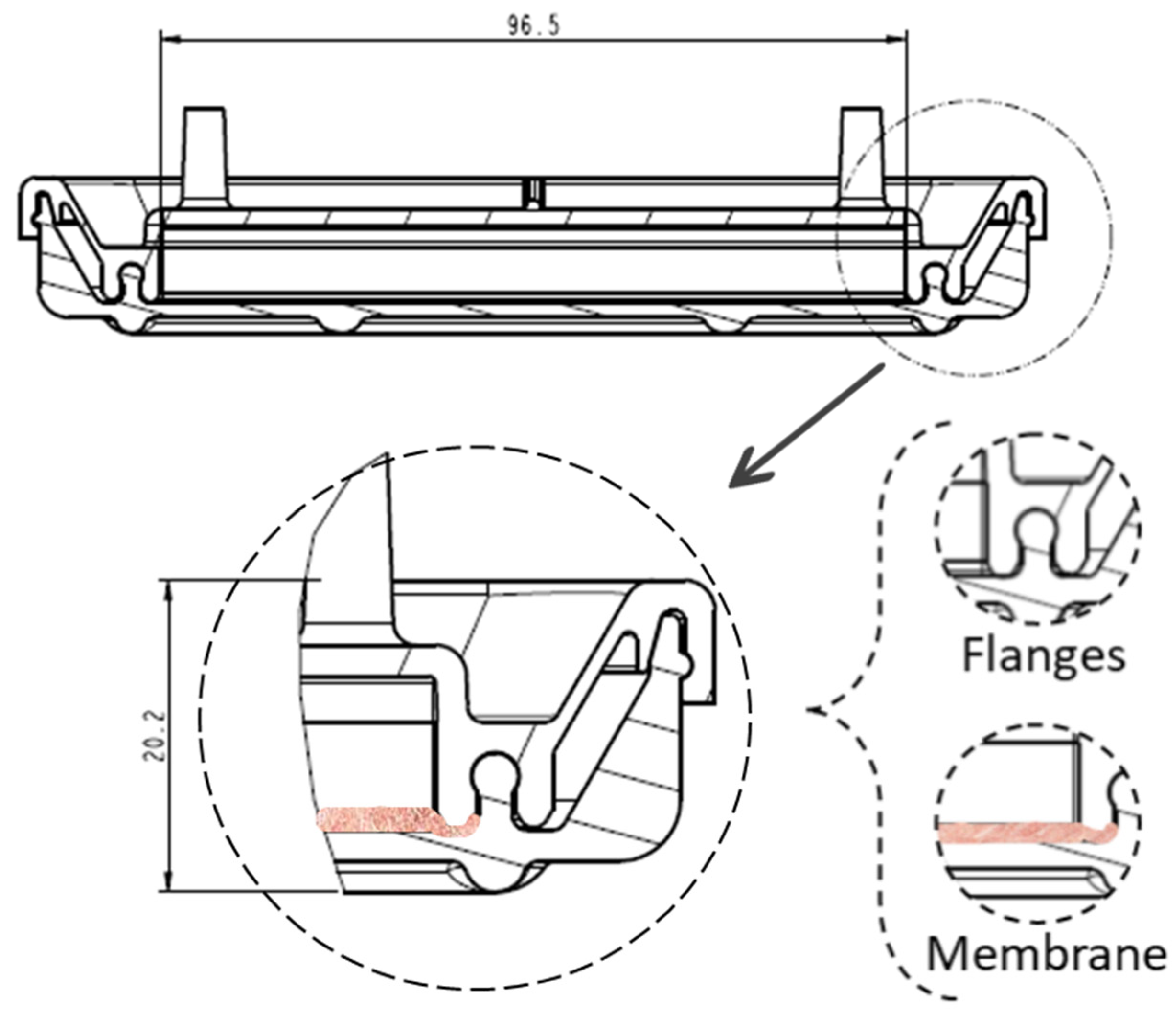 Bioengineering 11 00785 g004
