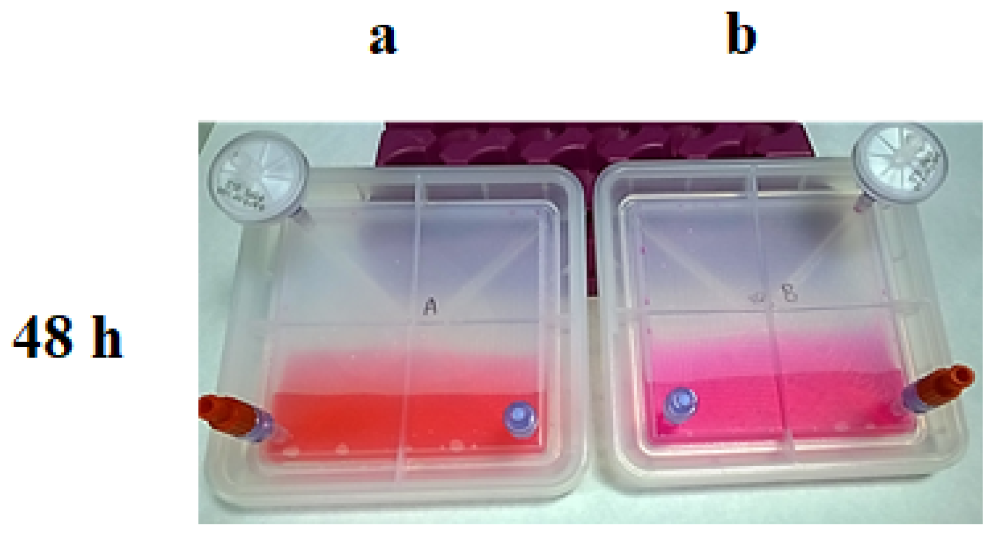 Bioengineering 11 00785 g006