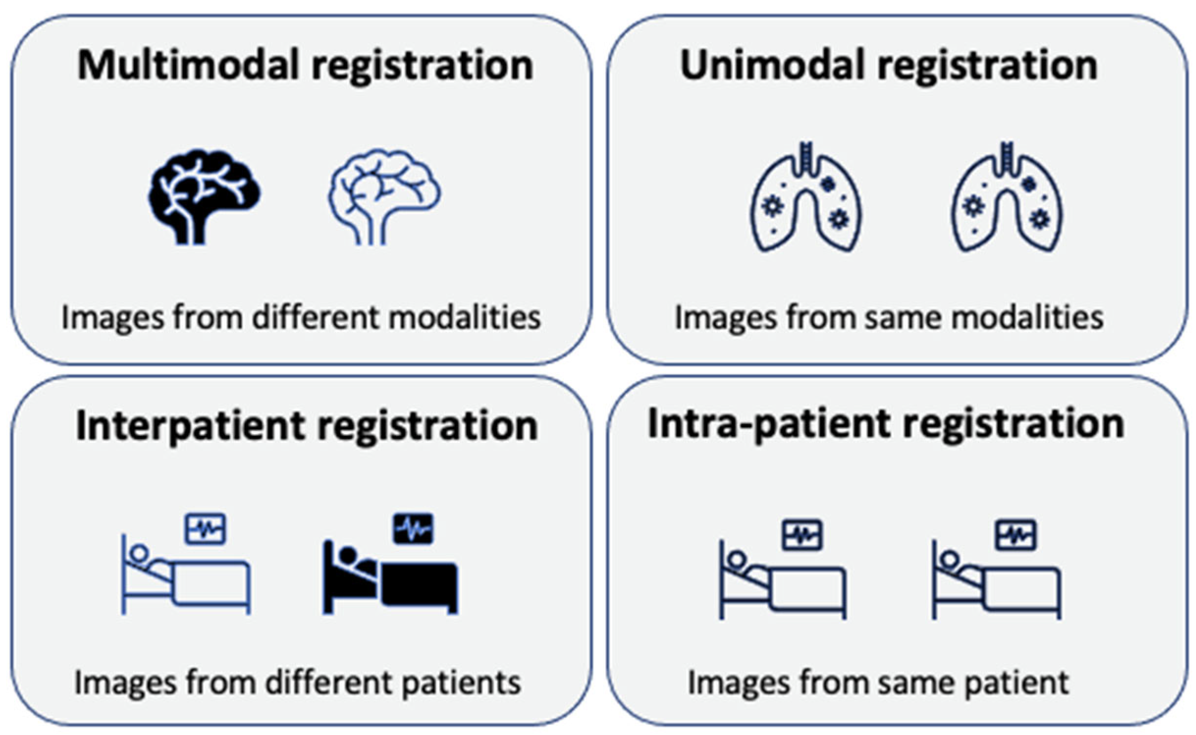 Bioengineering 11 00786 g001
