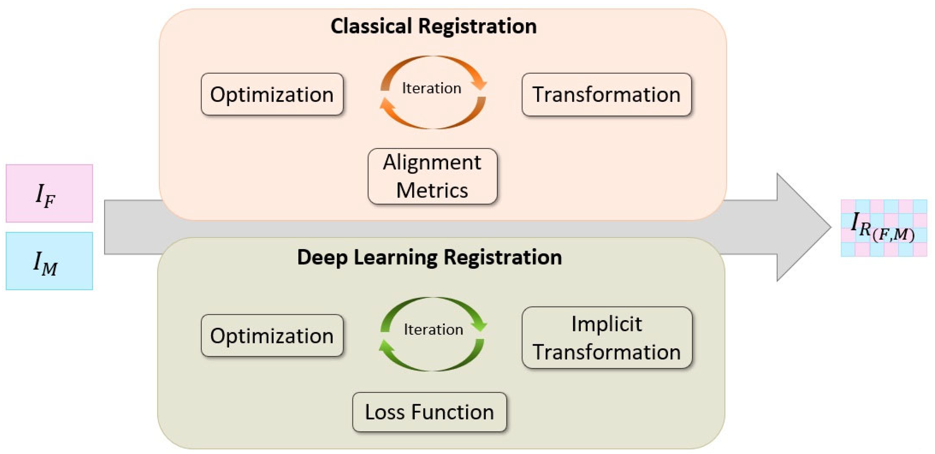 Bioengineering 11 00786 g002