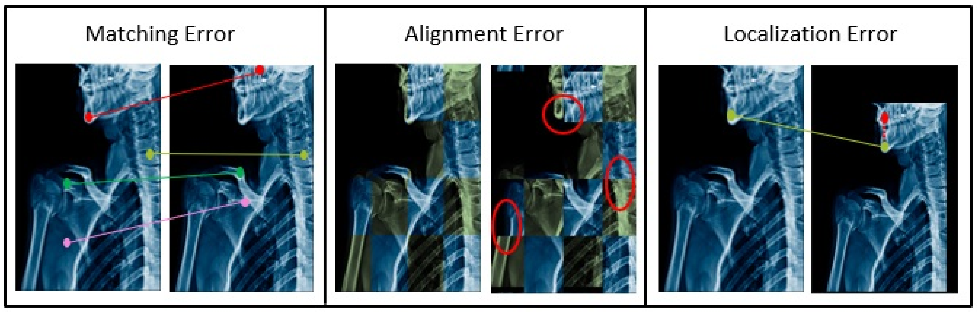 Bioengineering 11 00786 g004