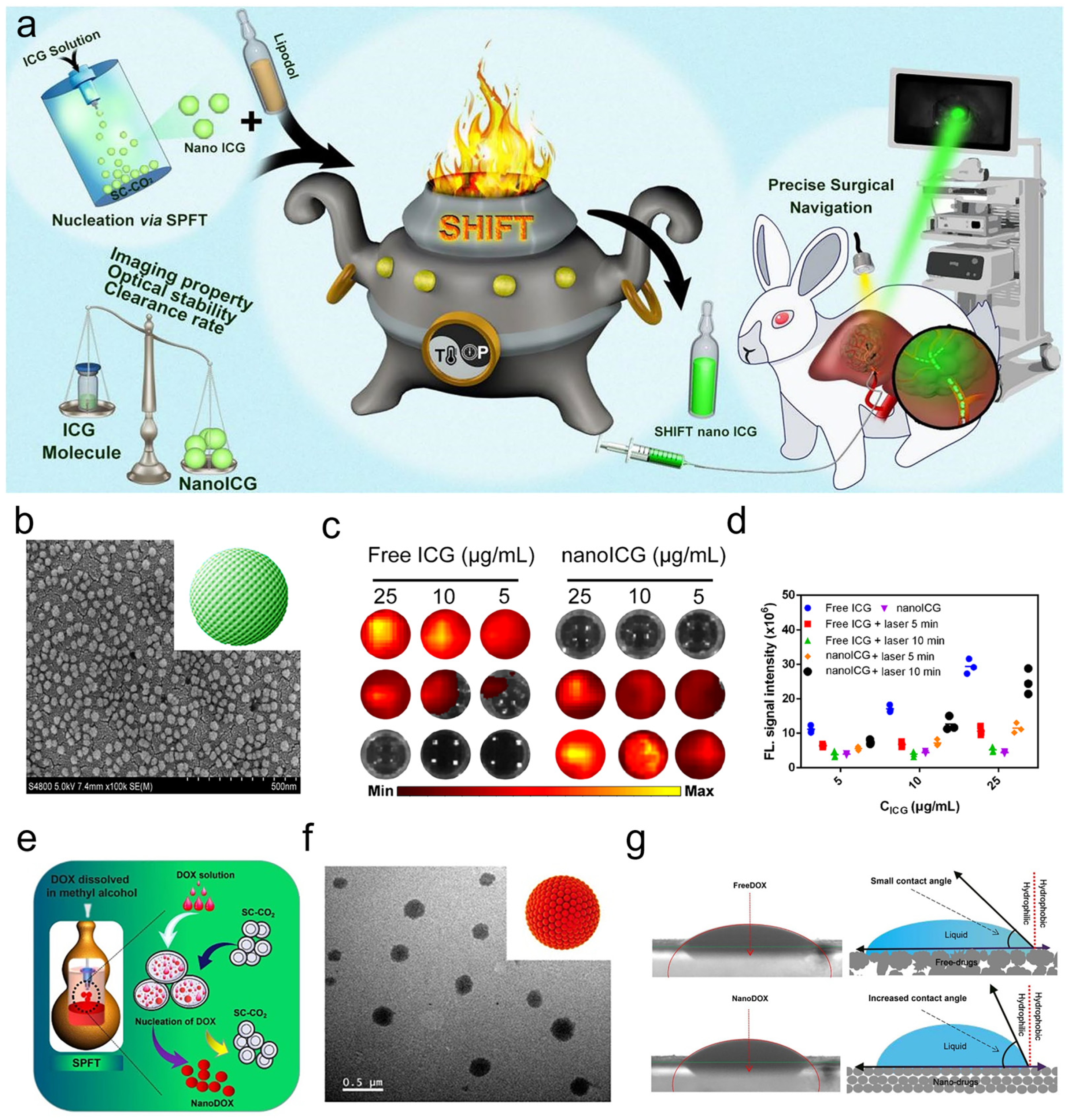 Bioengineering 11 00788 g003