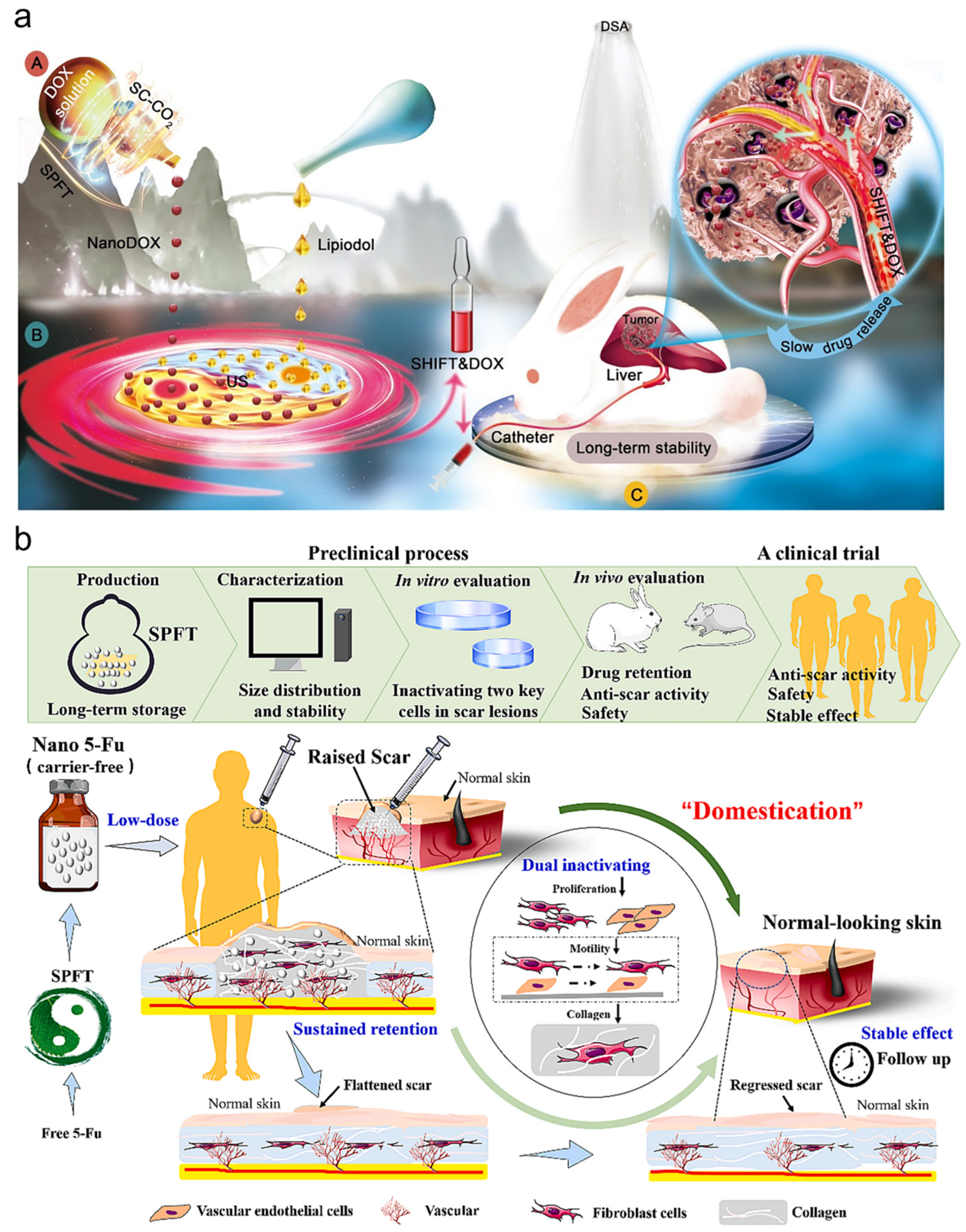 Bioengineering 11 00788 g006