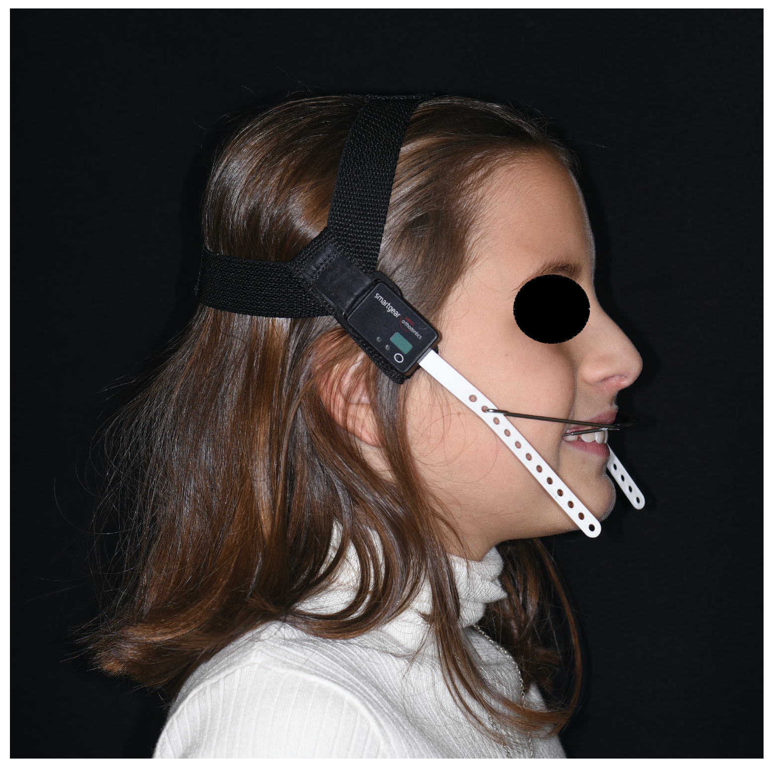 Bioengineering 11 00789 g001