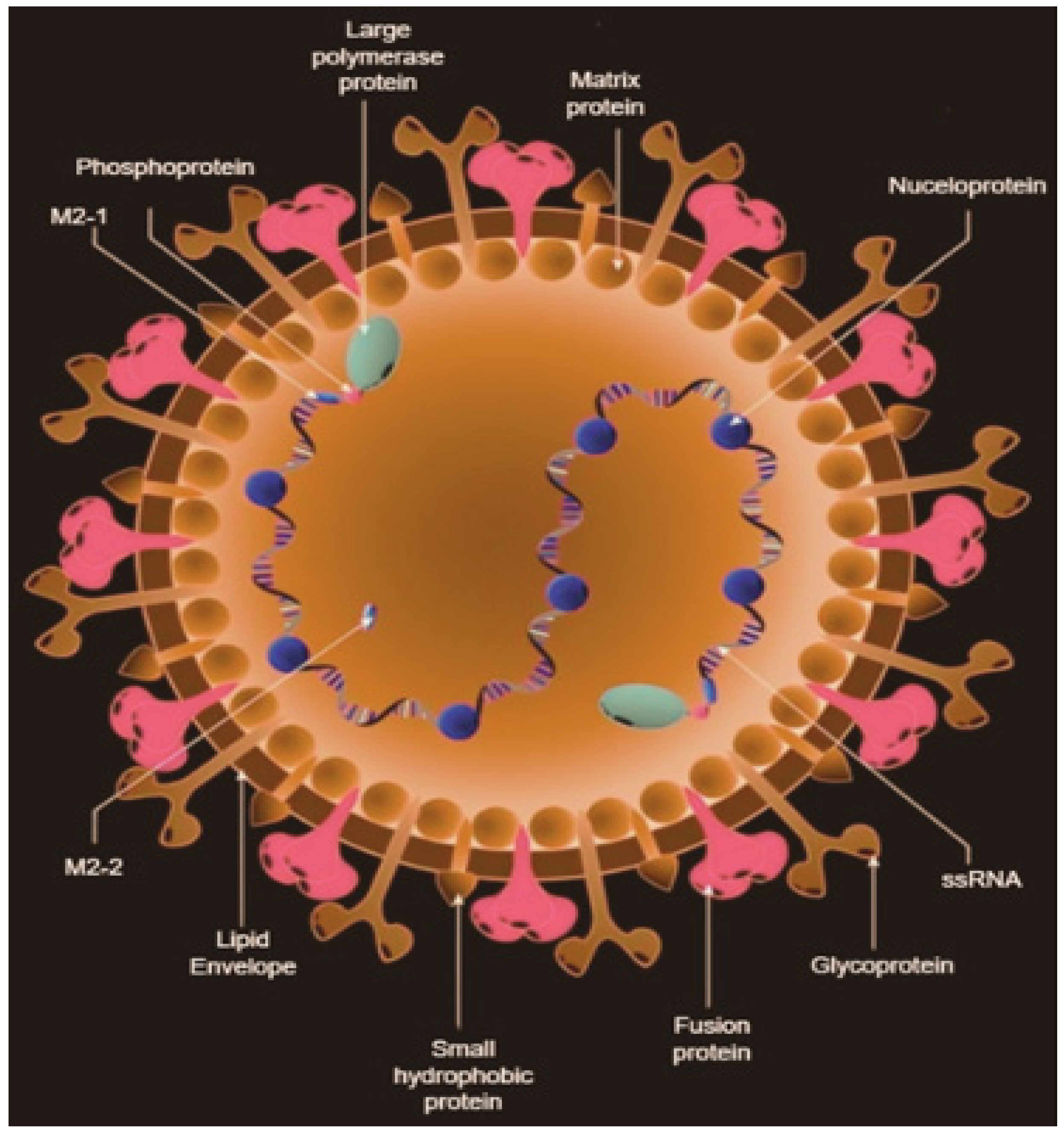 Bioengineering 11 00791 g001