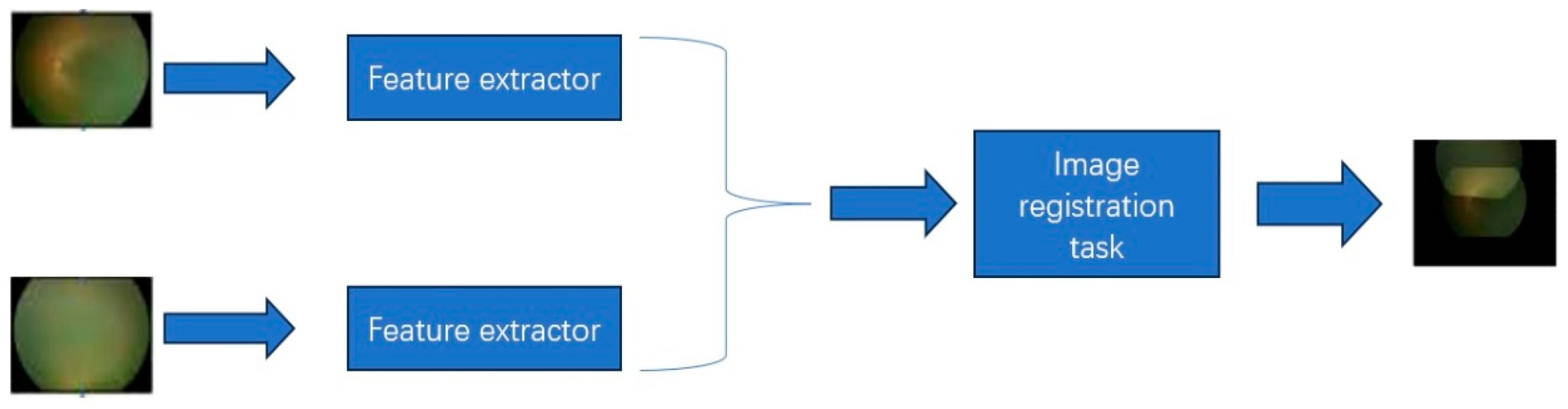 Bioengineering 11 00792 g002