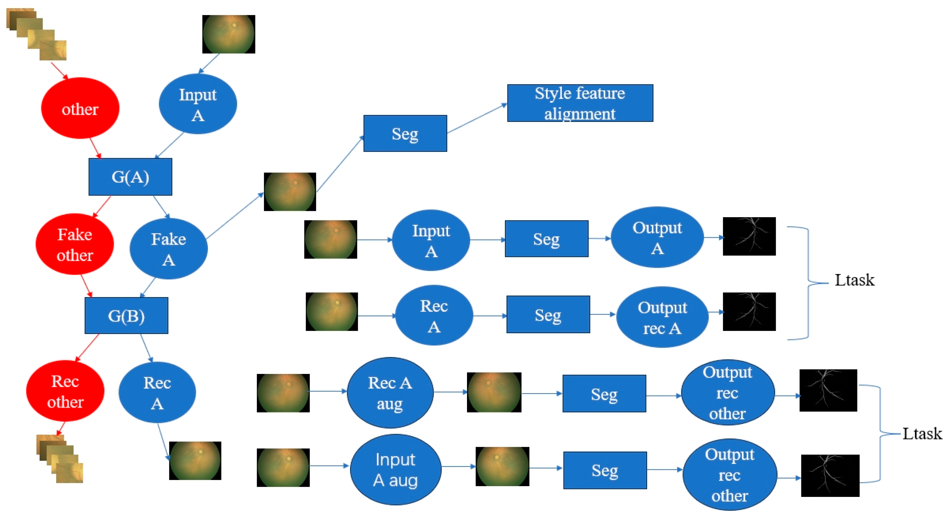 Bioengineering 11 00792 g004