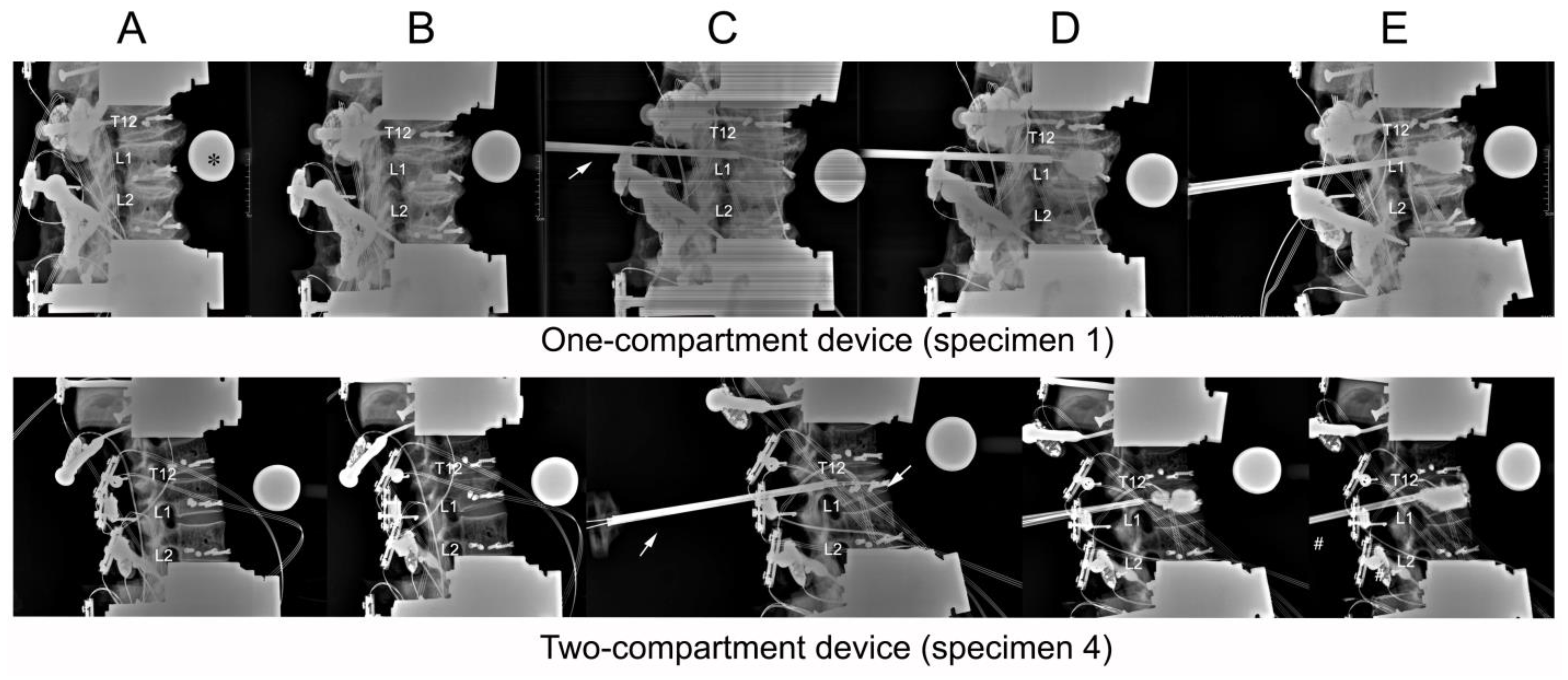 Bioengineering 11 00795 g004