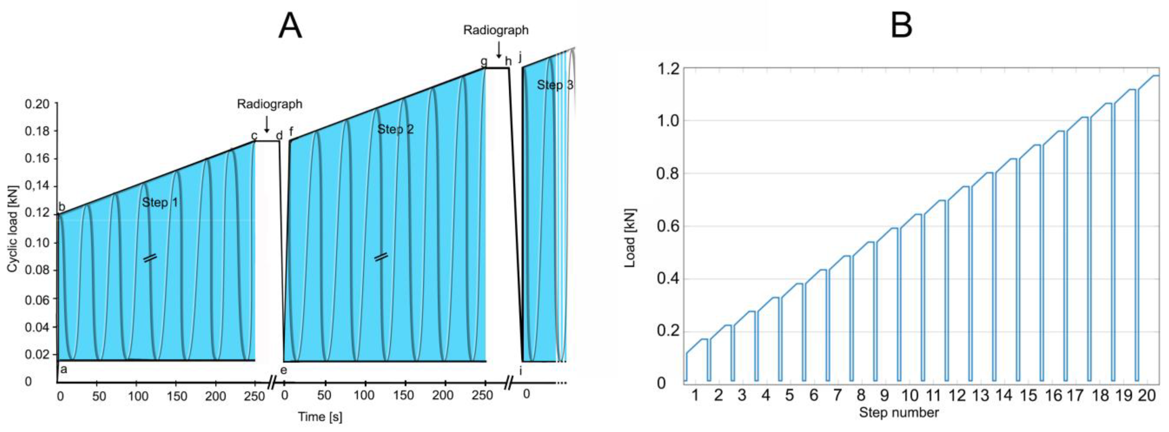 Bioengineering 11 00795 g006