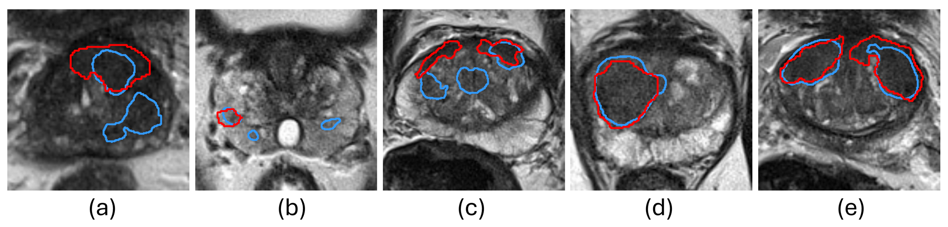Bioengineering 11 00796 g001