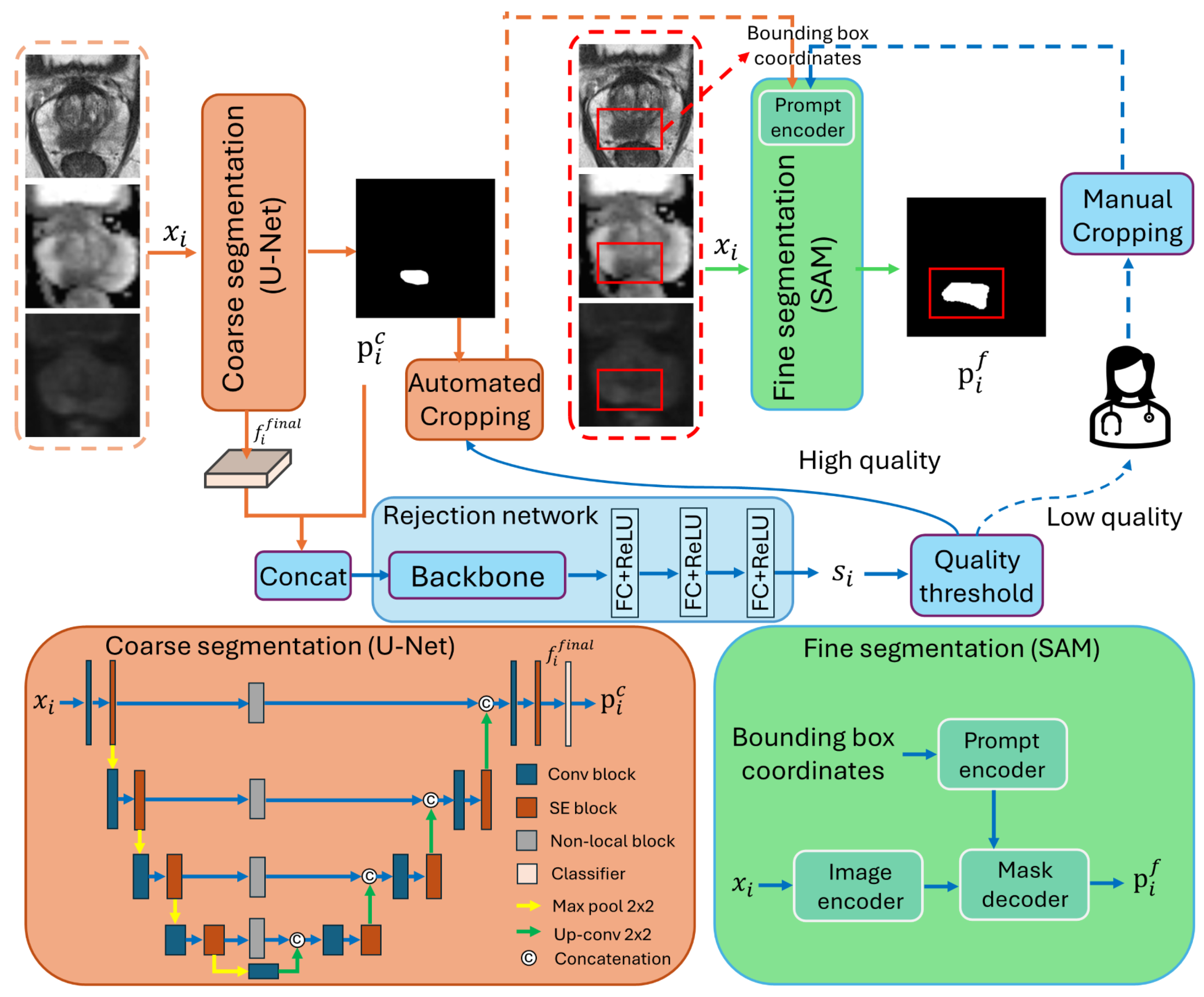 Bioengineering 11 00796 g002