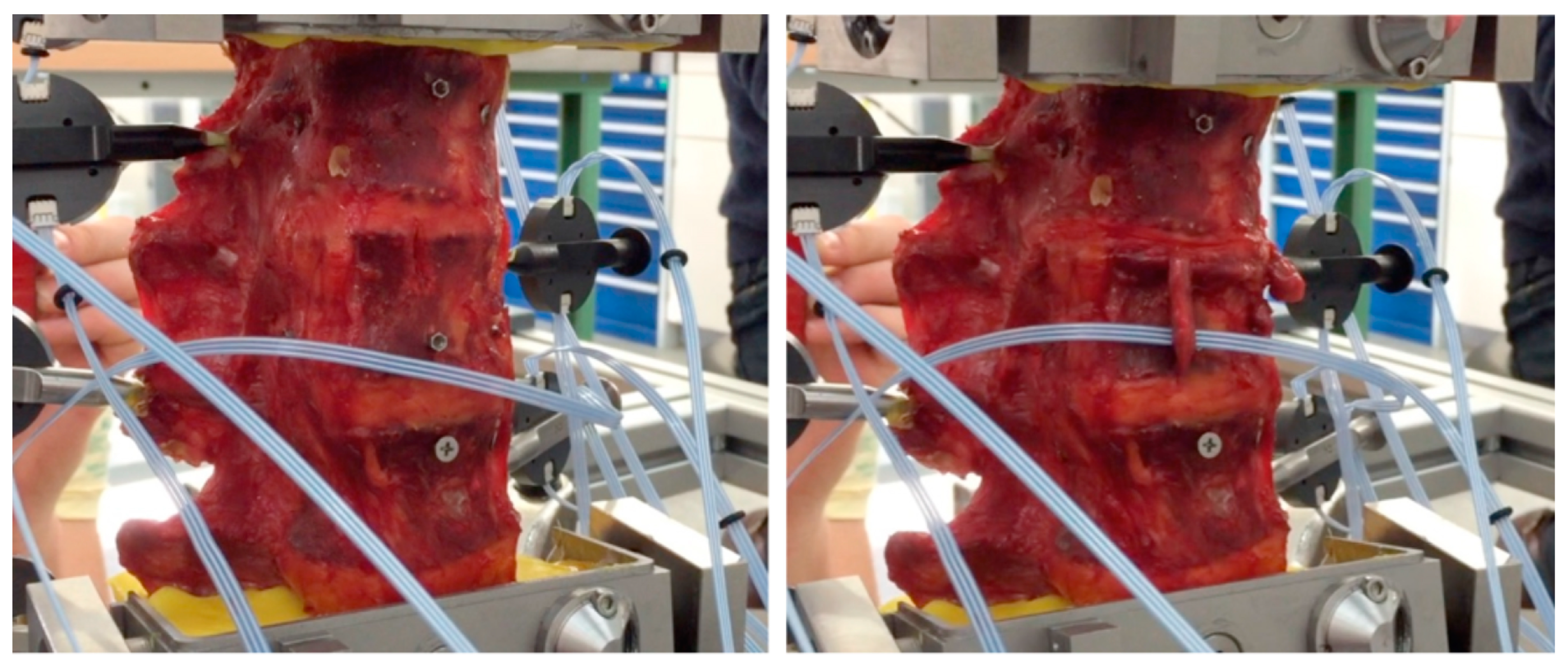 Bioengineering 11 00798 g001 Bioengineering 11 00798 g001