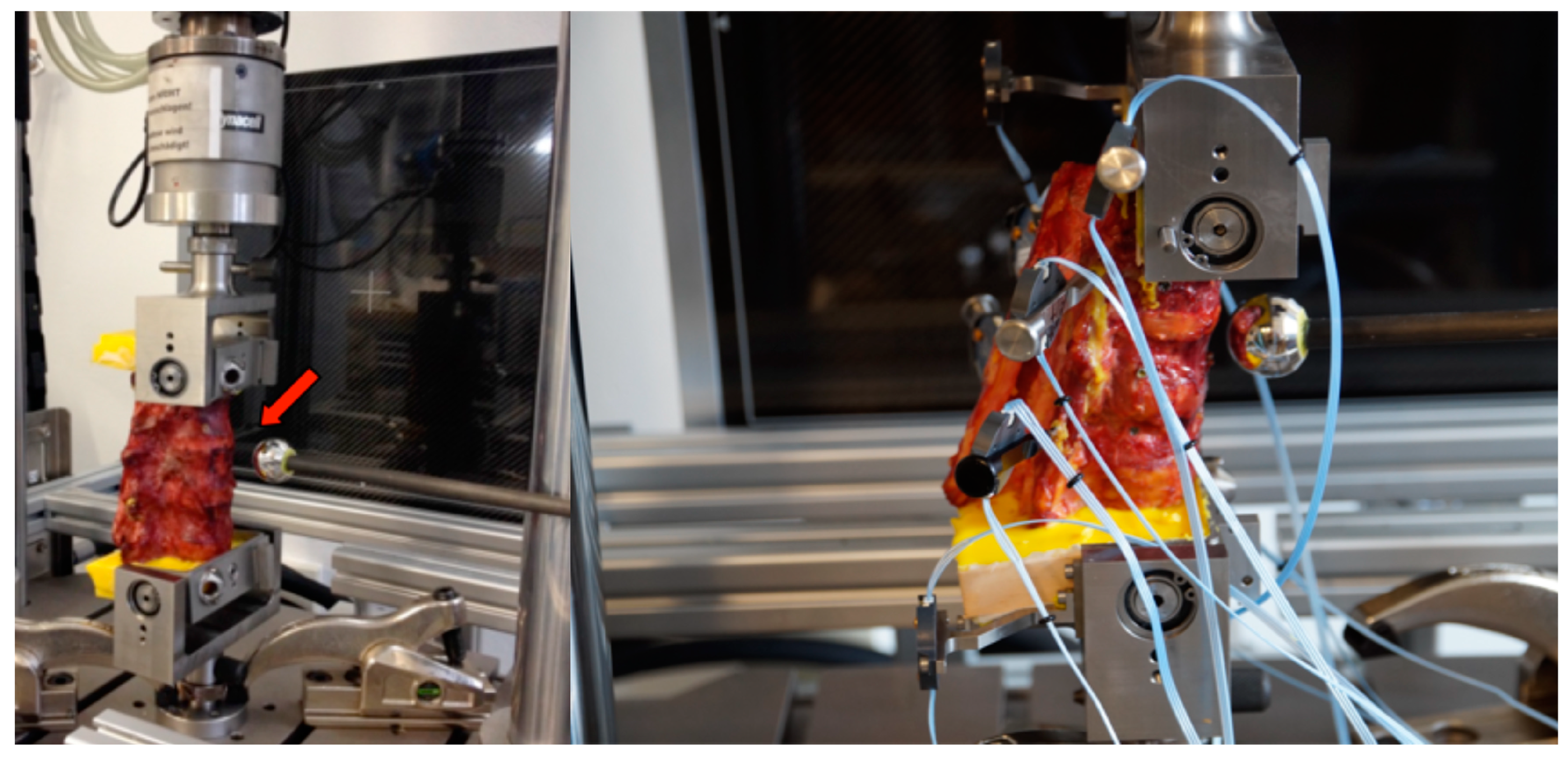 Bioengineering 11 00798 g002 Bioengineering 11 00798 g002