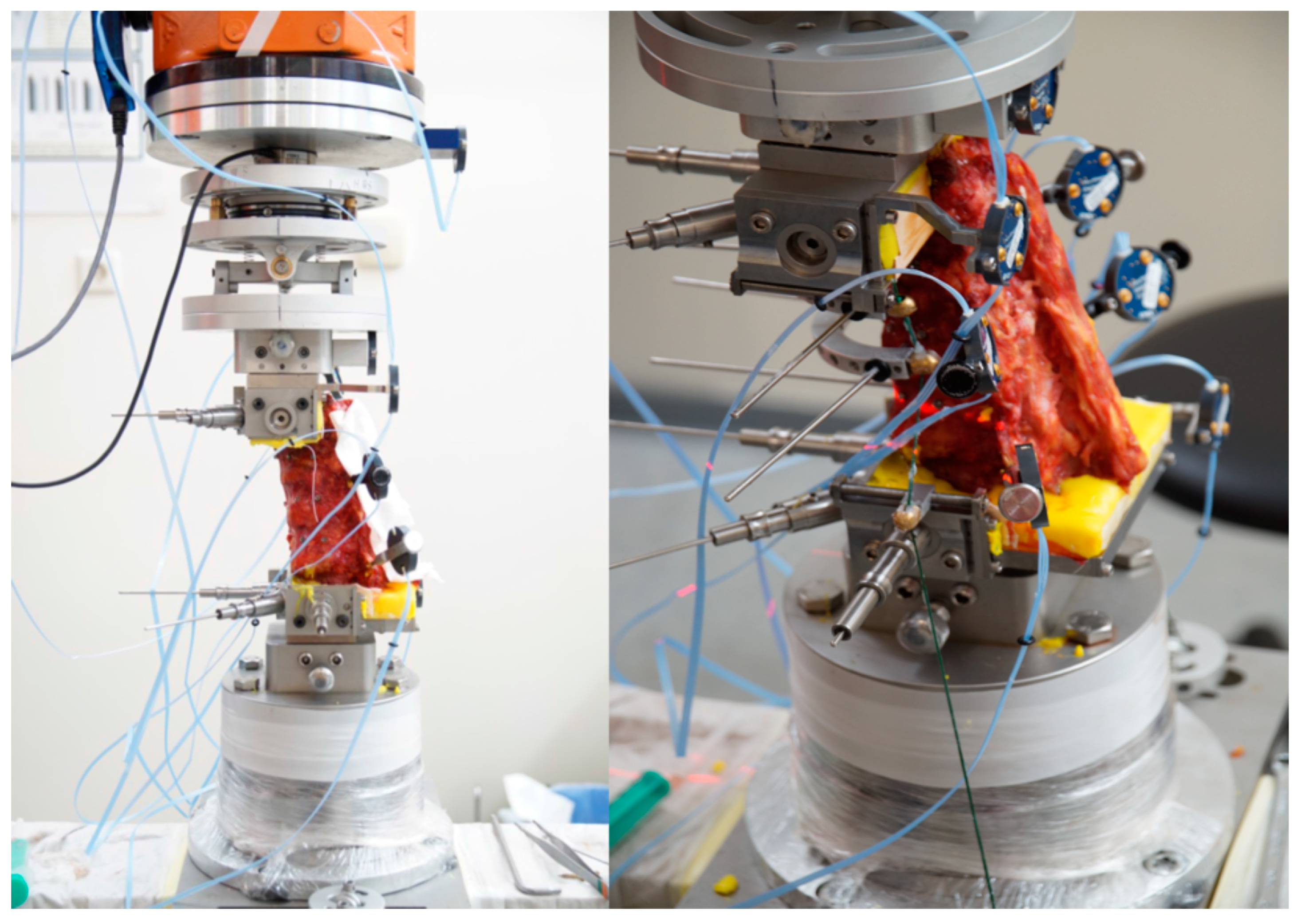 Bioengineering 11 00798 g004 Bioengineering 11 00798 g004