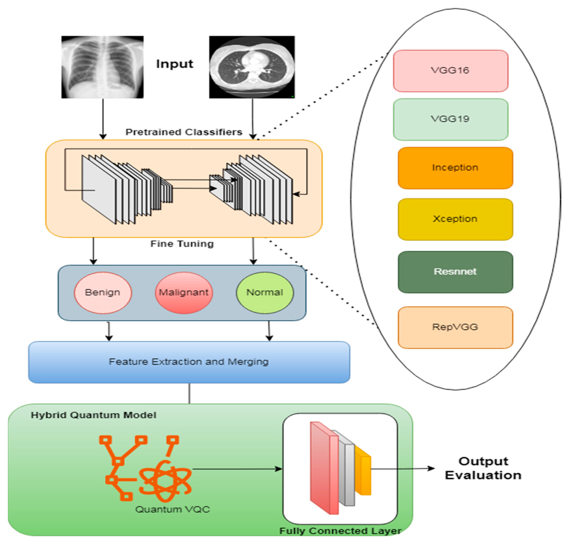 Bioengineering 11 00799 g001