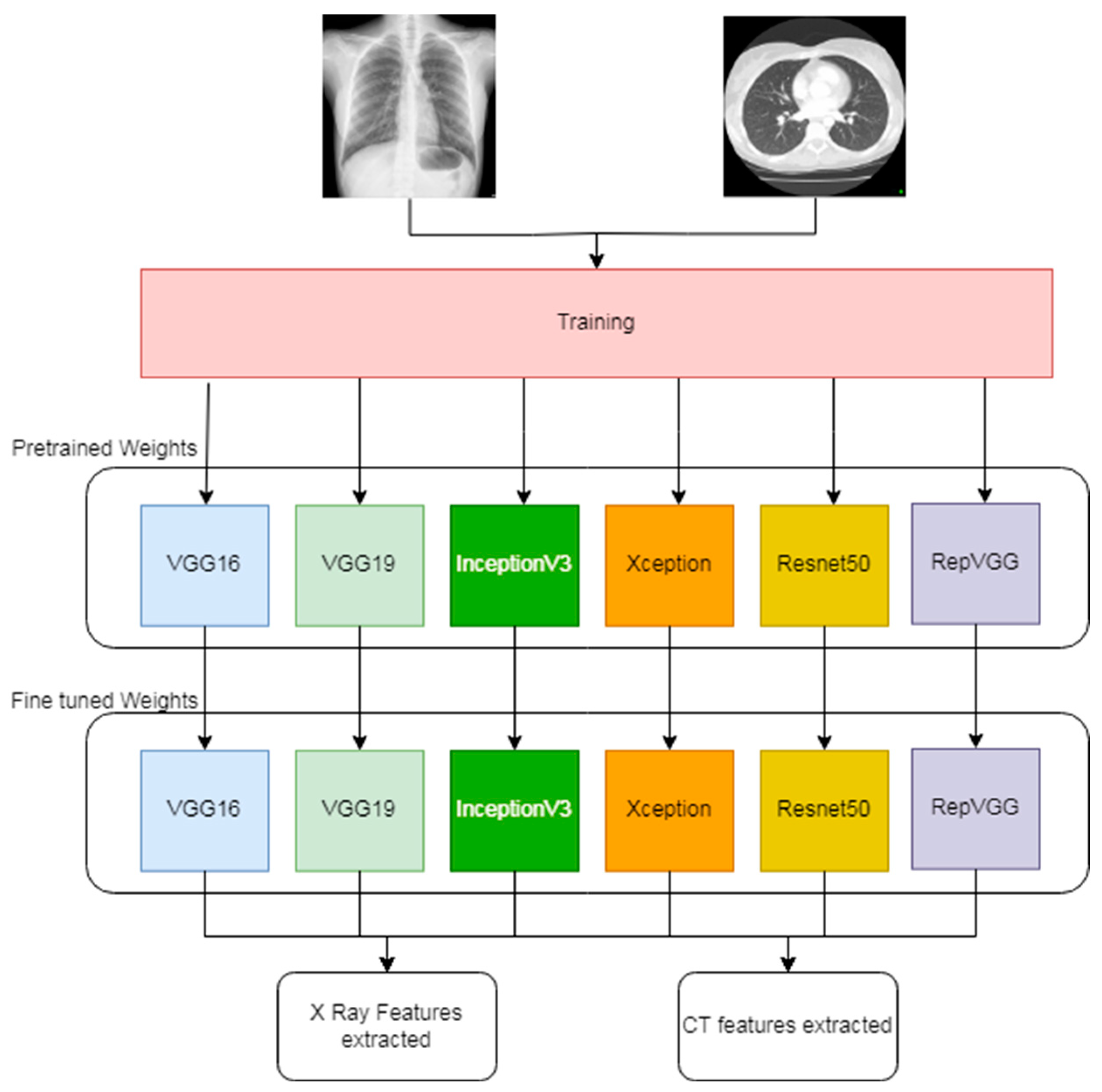 Bioengineering 11 00799 g002