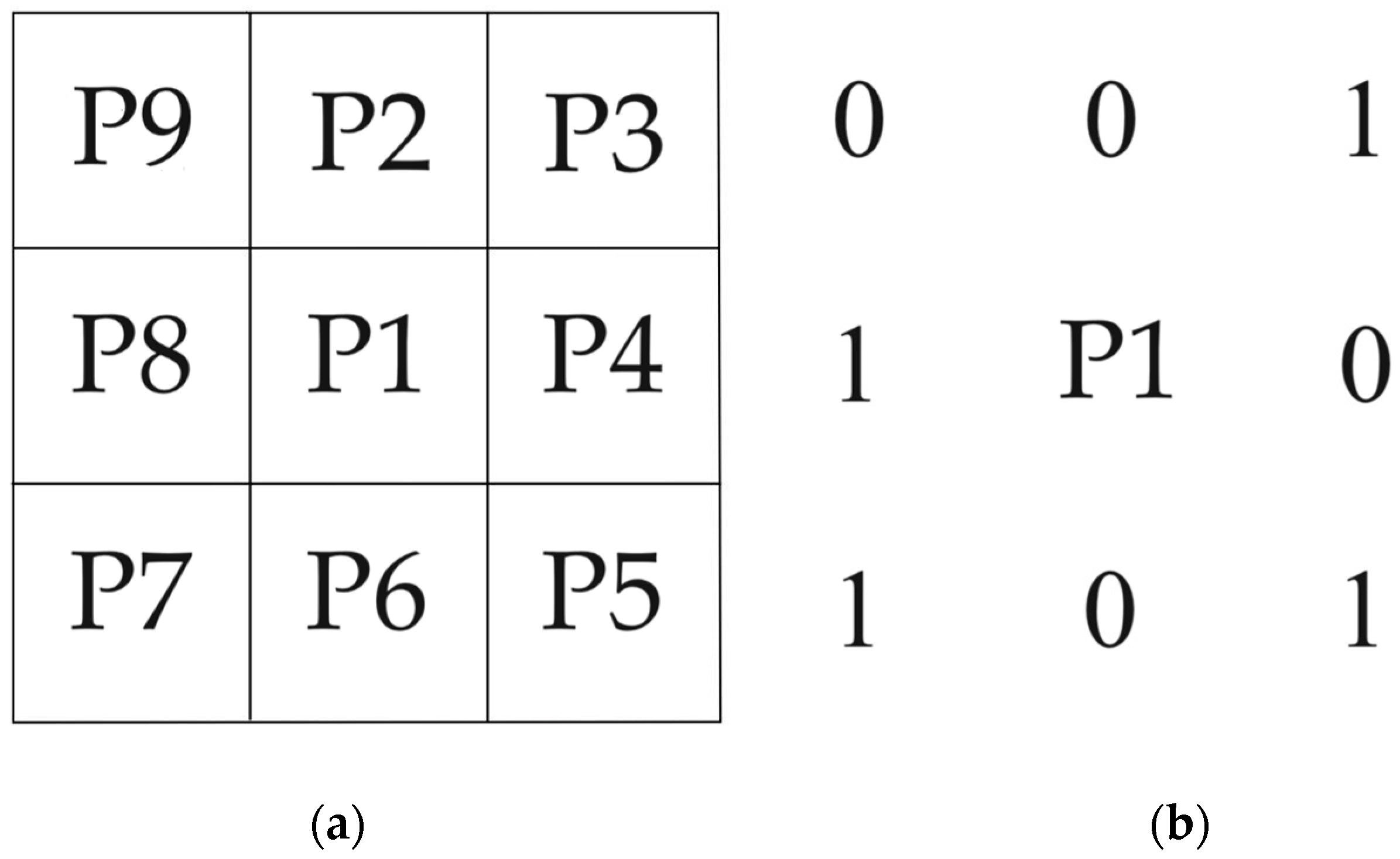 Bioengineering 11 00801 g004