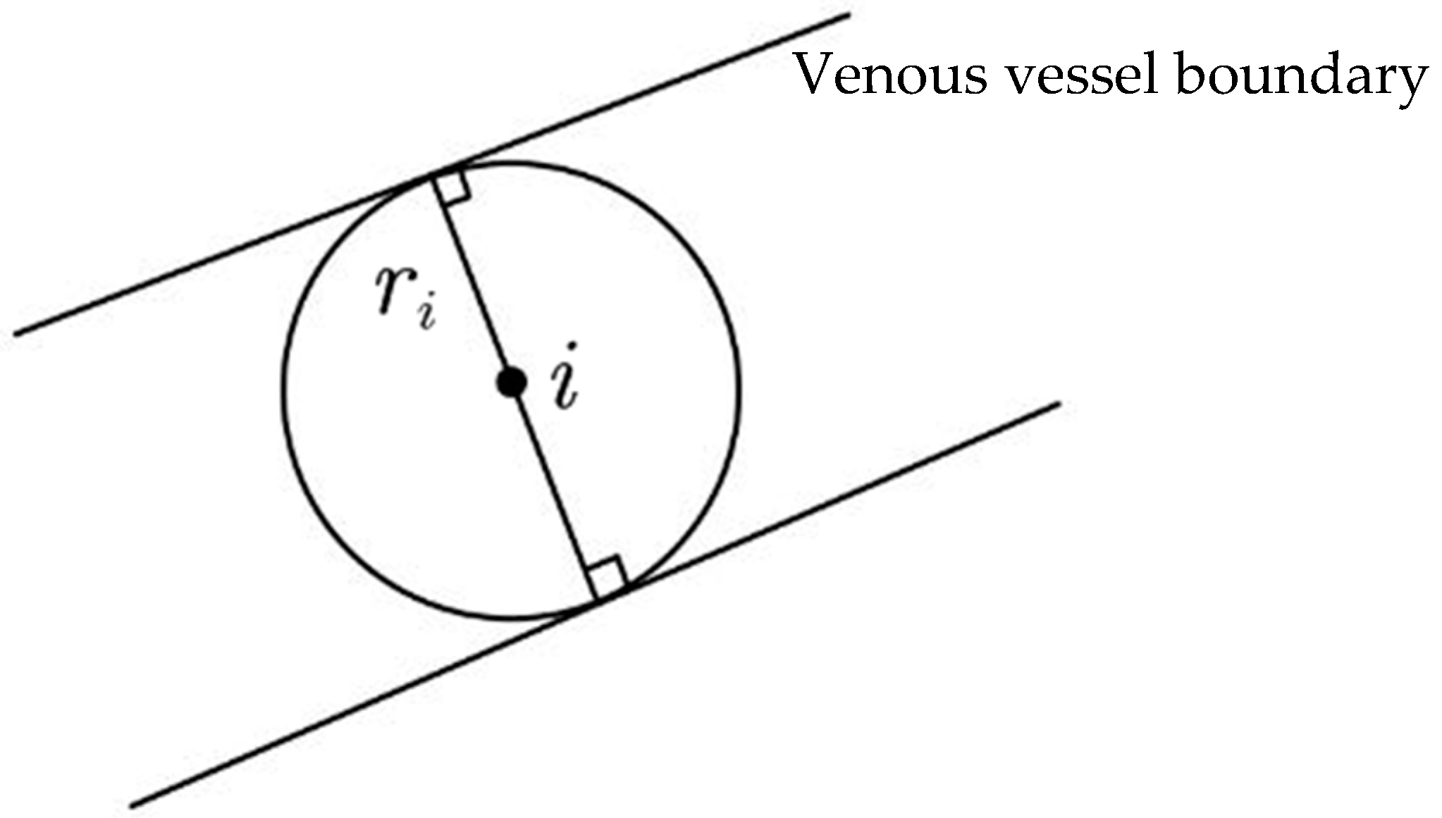 Bioengineering 11 00801 g005