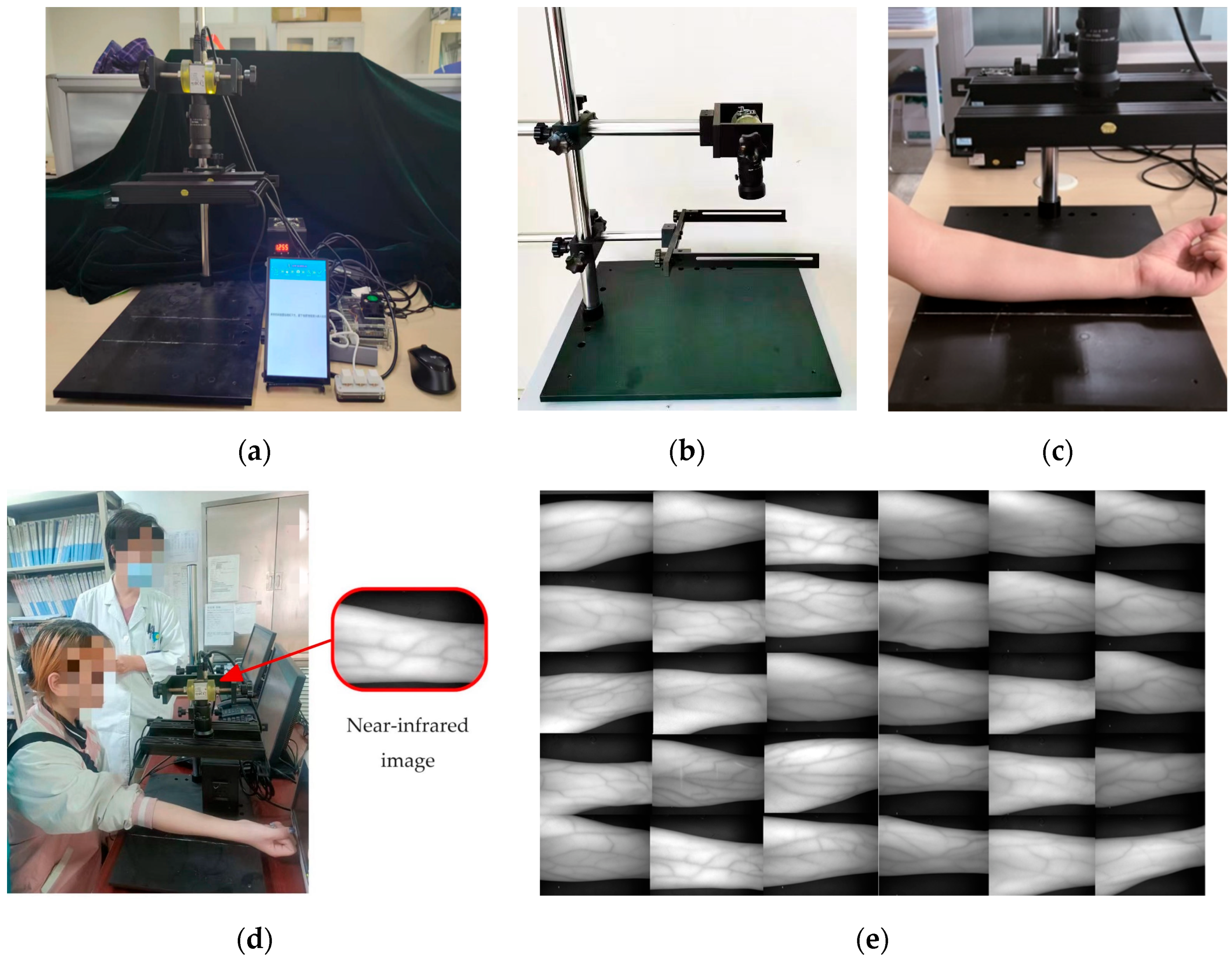 Bioengineering 11 00801 g006