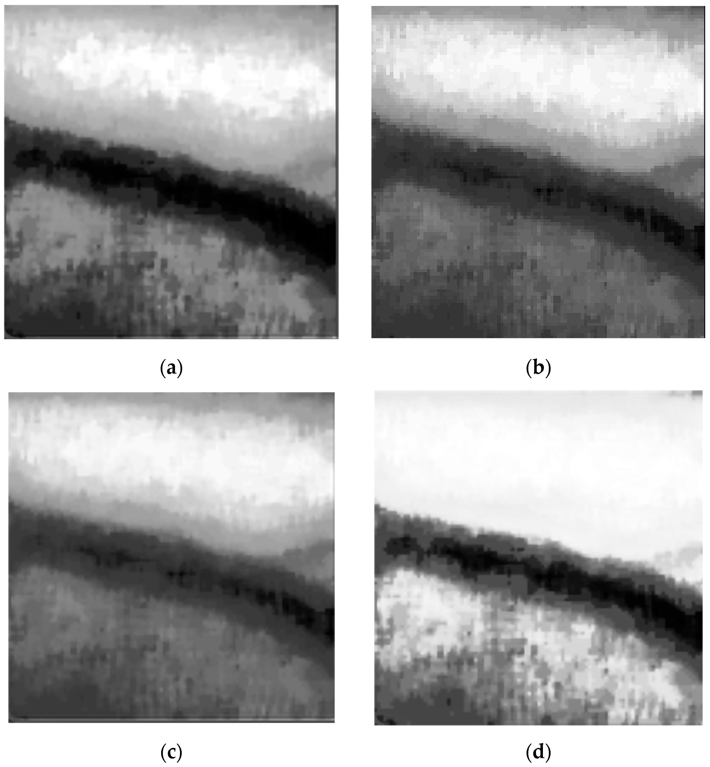 Bioengineering 11 00801 g007