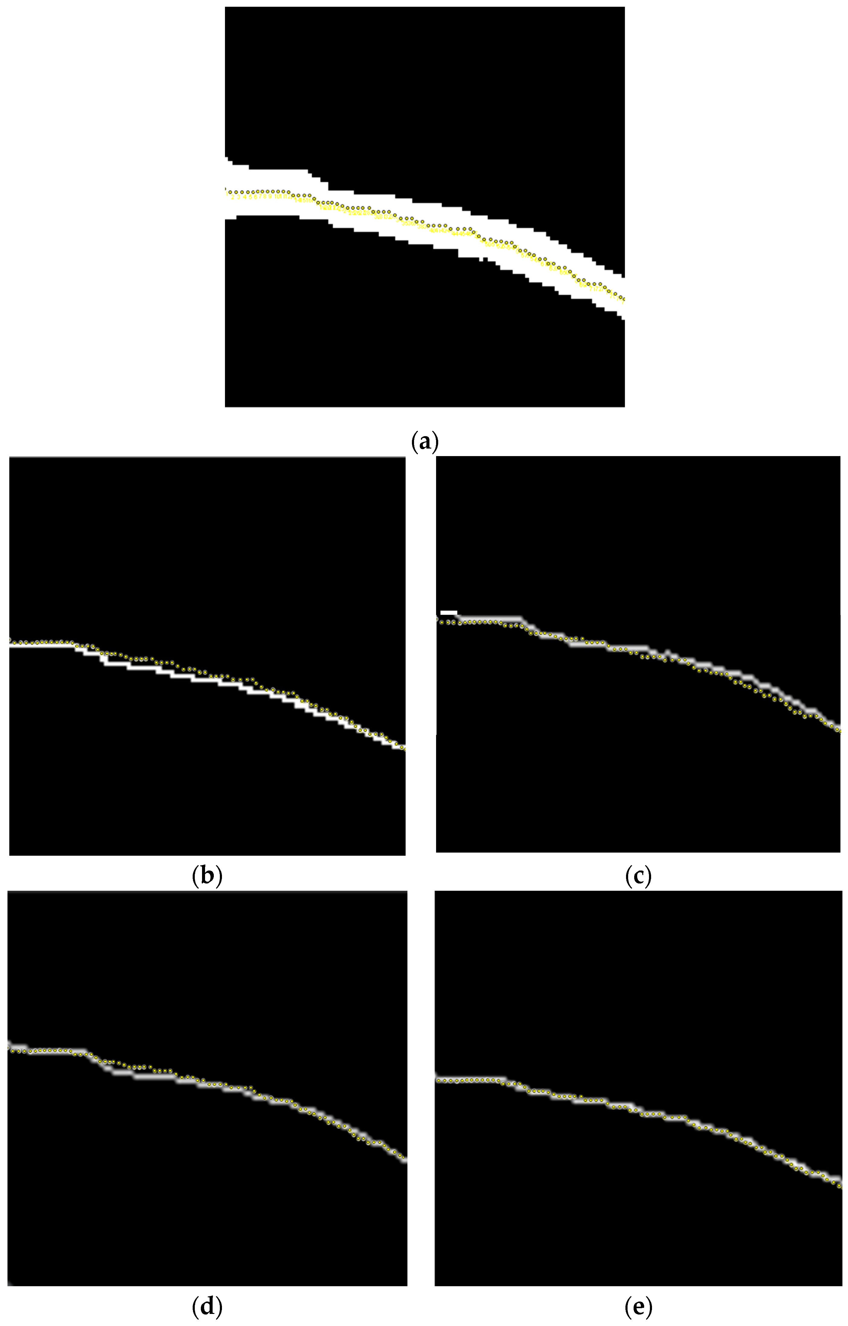 Bioengineering 11 00801 g008