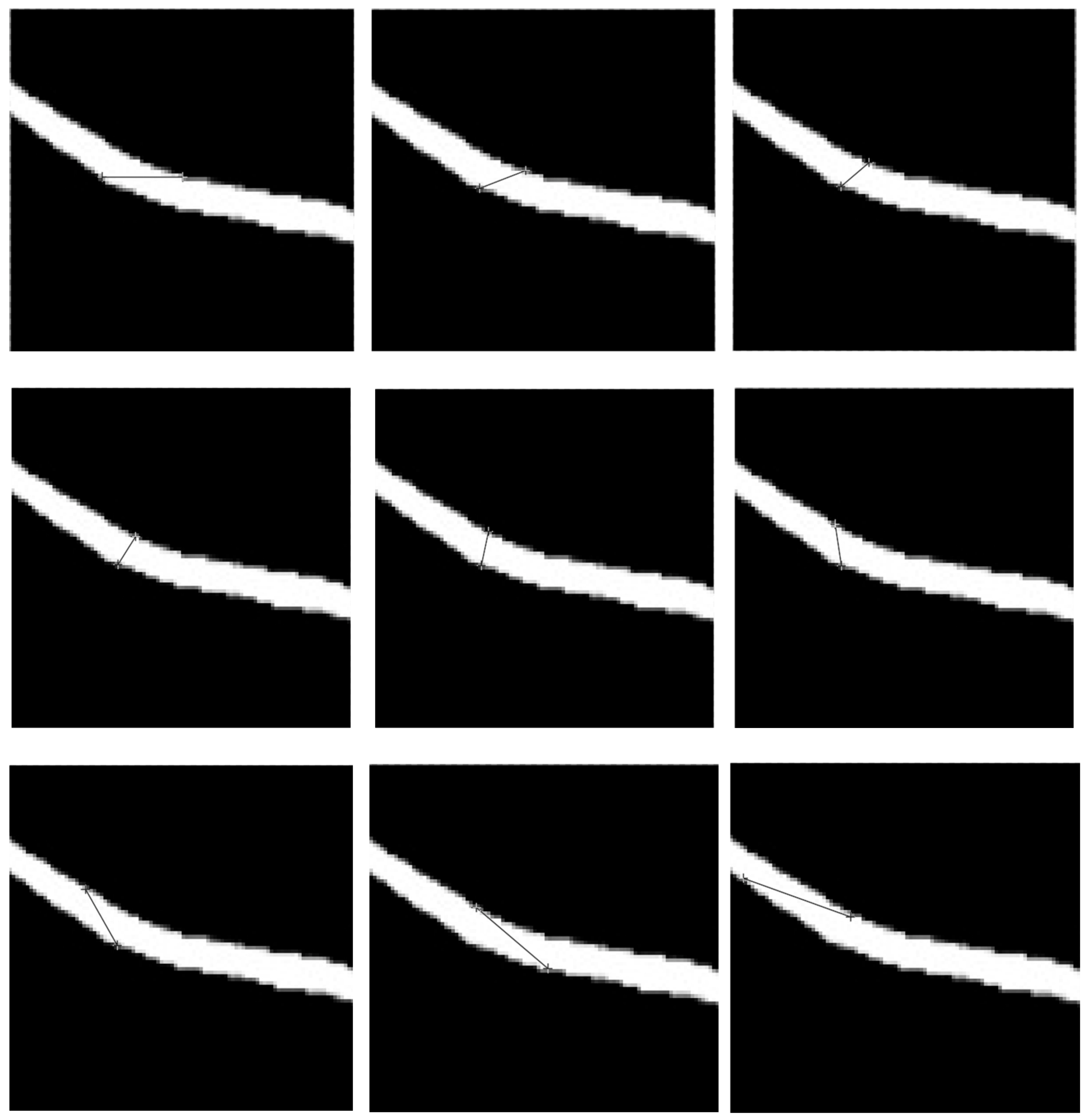 Bioengineering 11 00801 g010