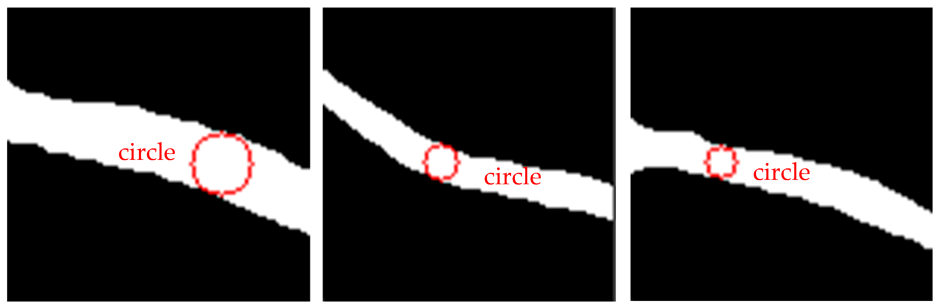 Bioengineering 11 00801 g011