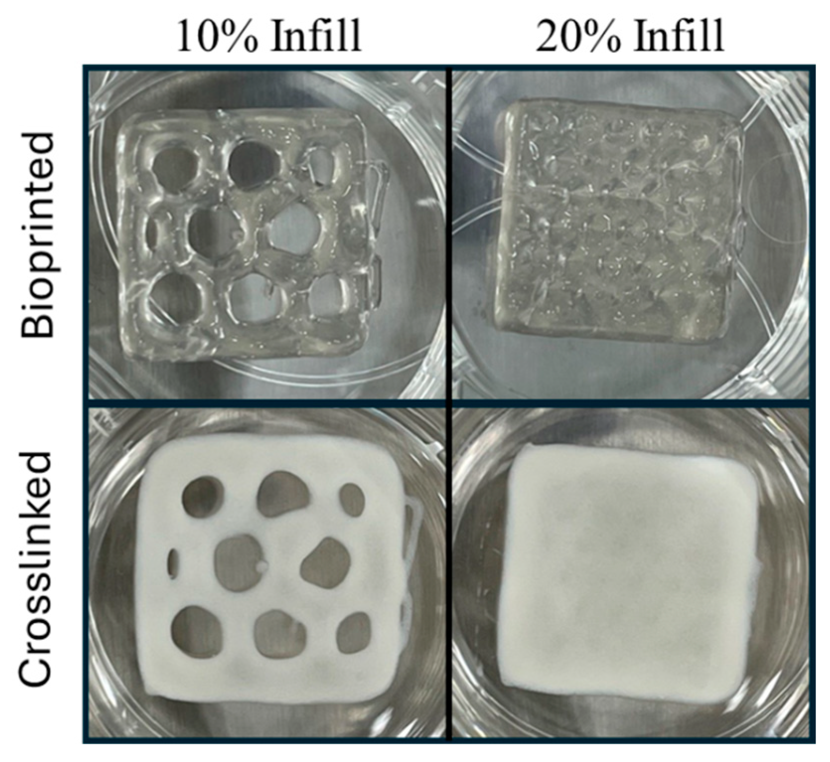 Bioengineering 11 00804 g003