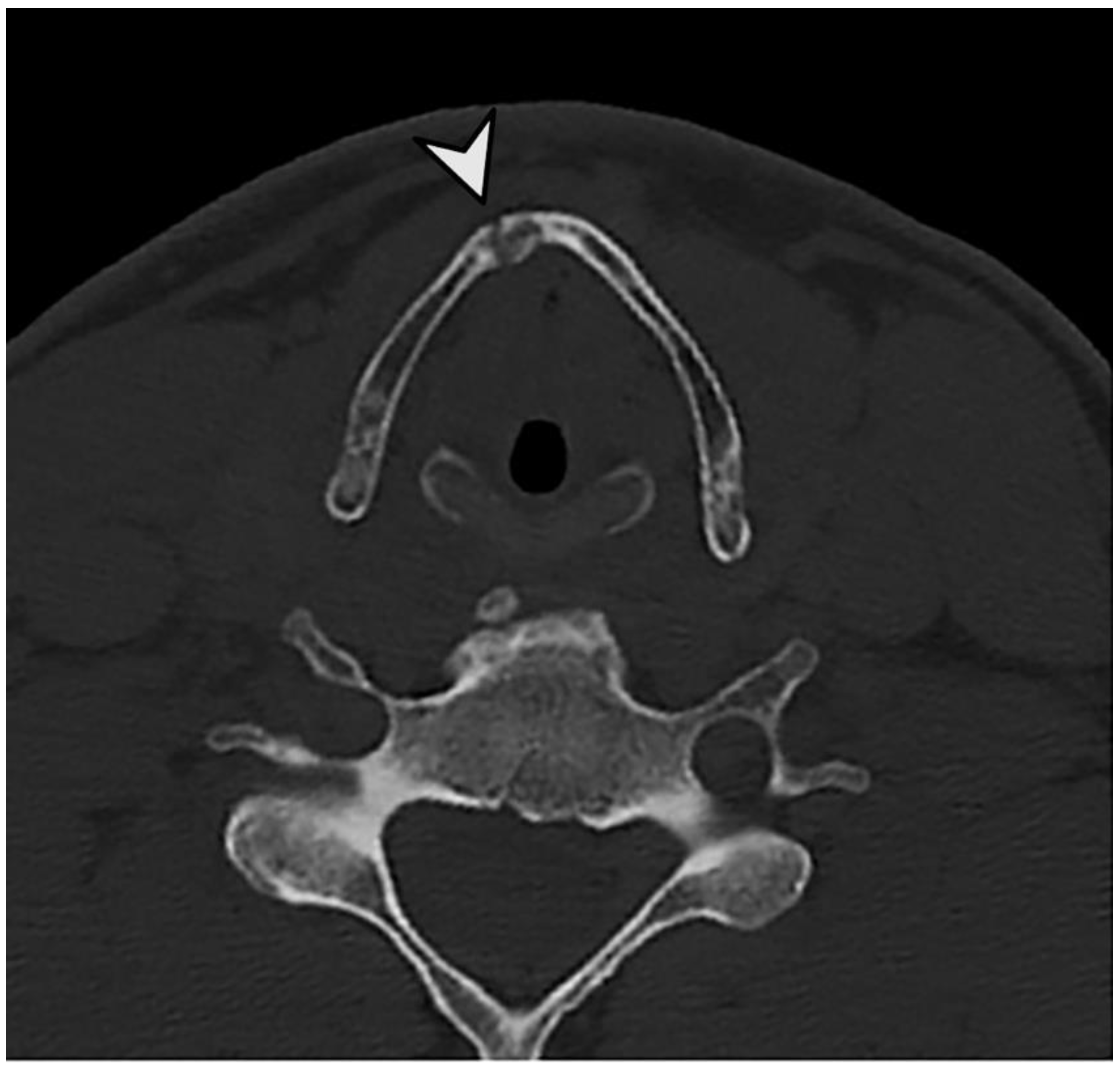 Bioengineering 11 00807 g002