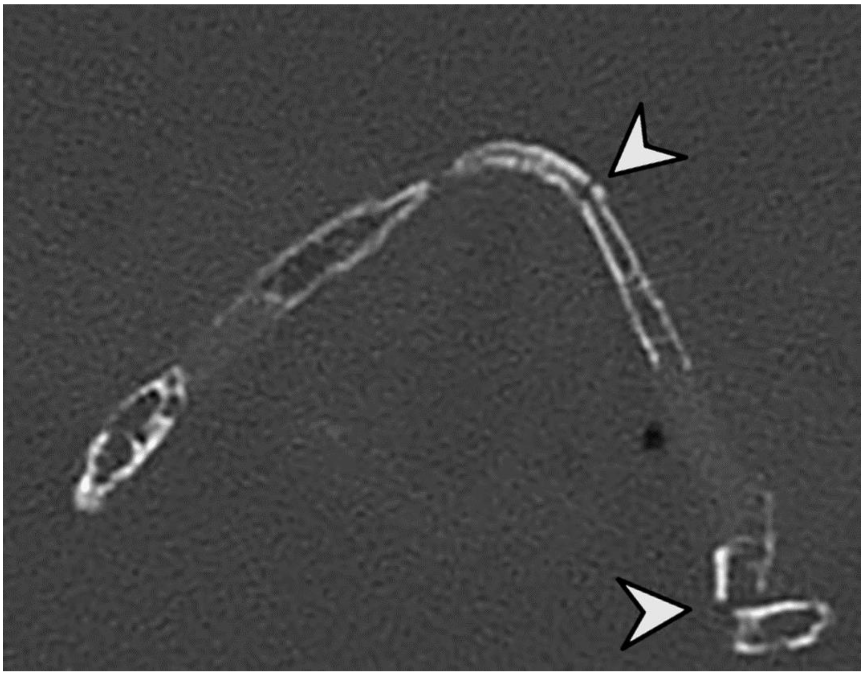 Bioengineering 11 00807 g003