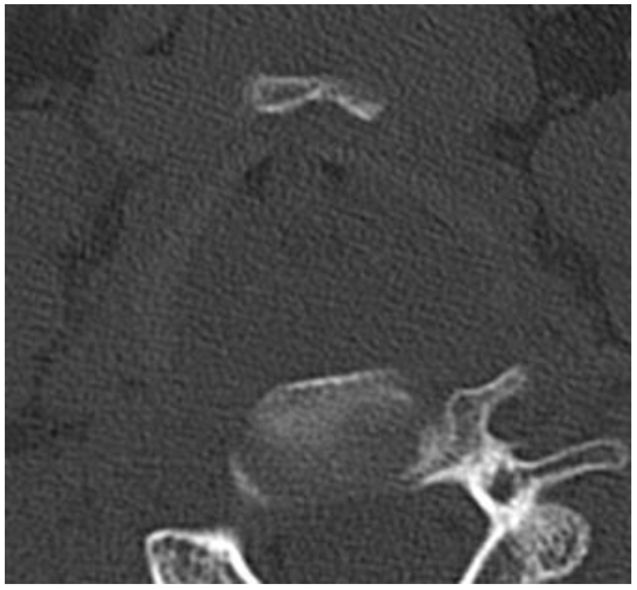 Bioengineering 11 00807 g004