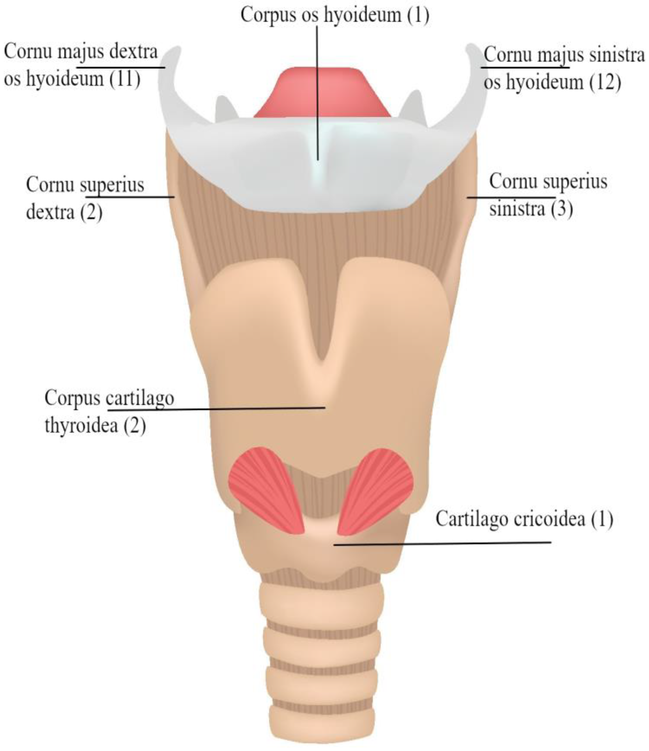 Bioengineering 11 00807 g005