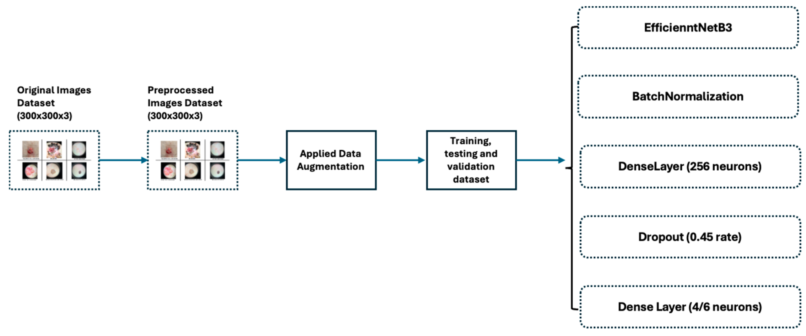 Bioengineering 11 00810 g002