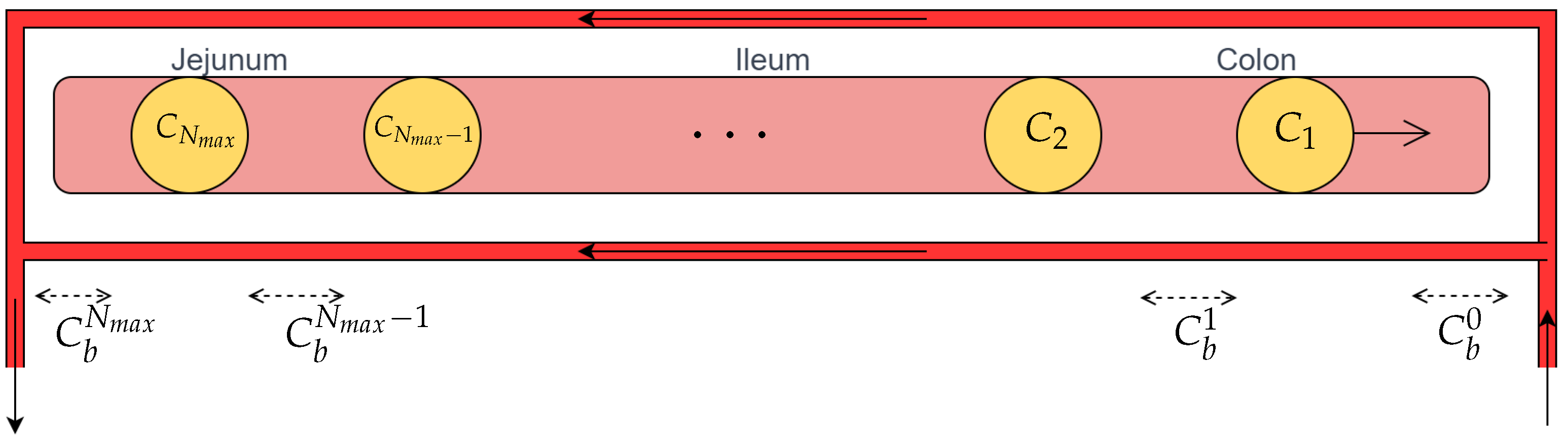 Bioengineering 11 00813 g002