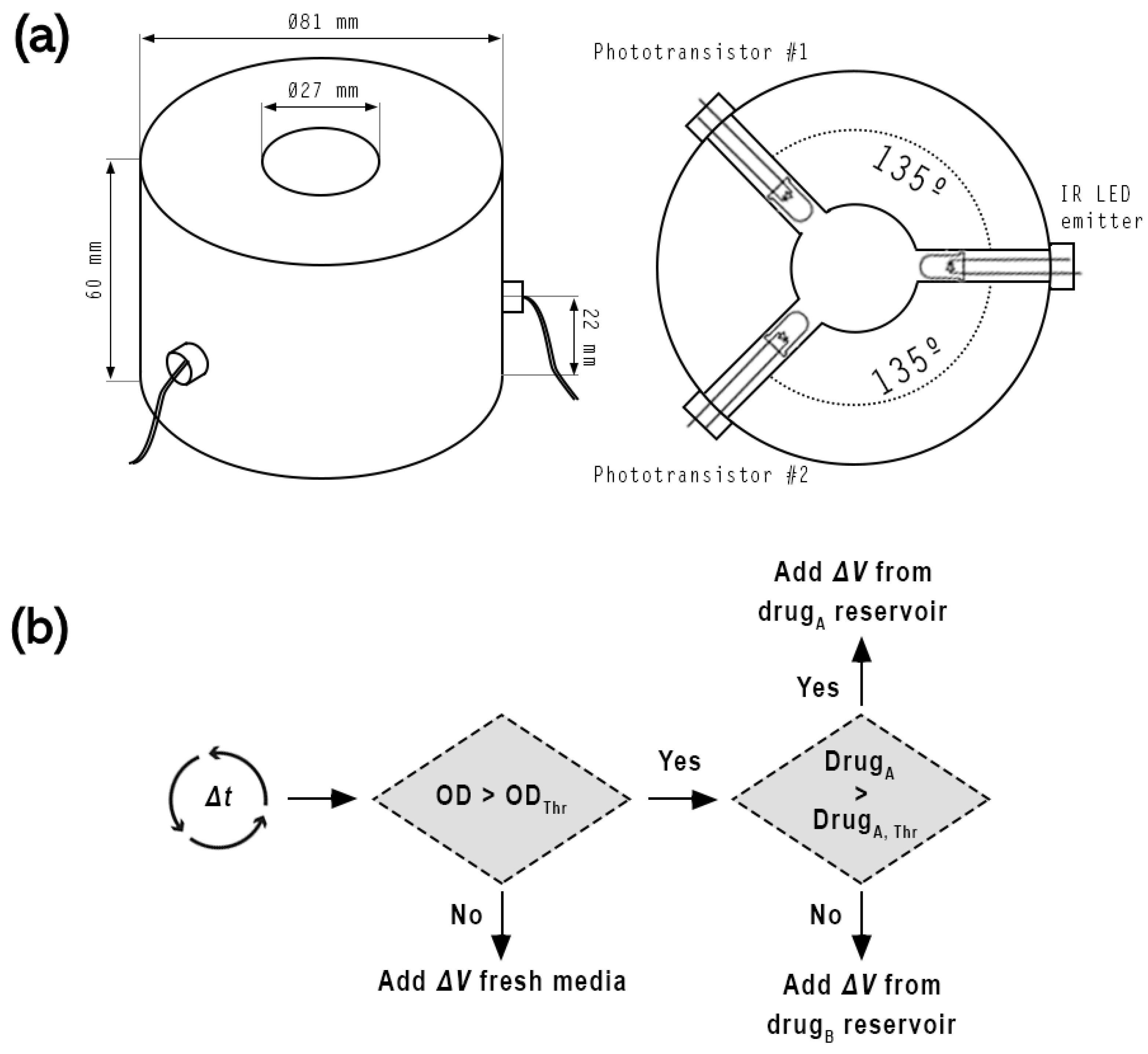 Bioengineering 11 00815 g003 Bioengineering 11 00815 g003