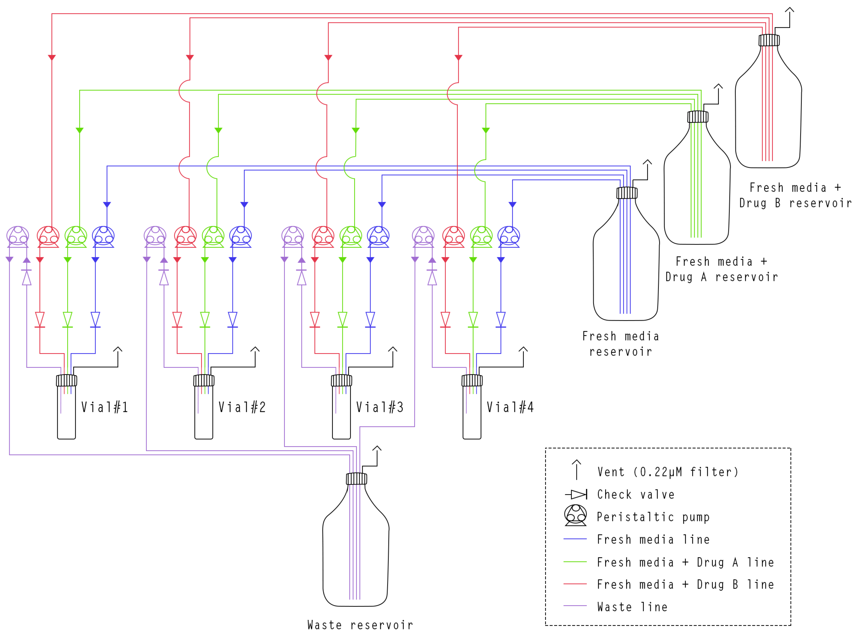 Bioengineering 11 00815 g0a2 Bioengineering 11 00815 g0a2