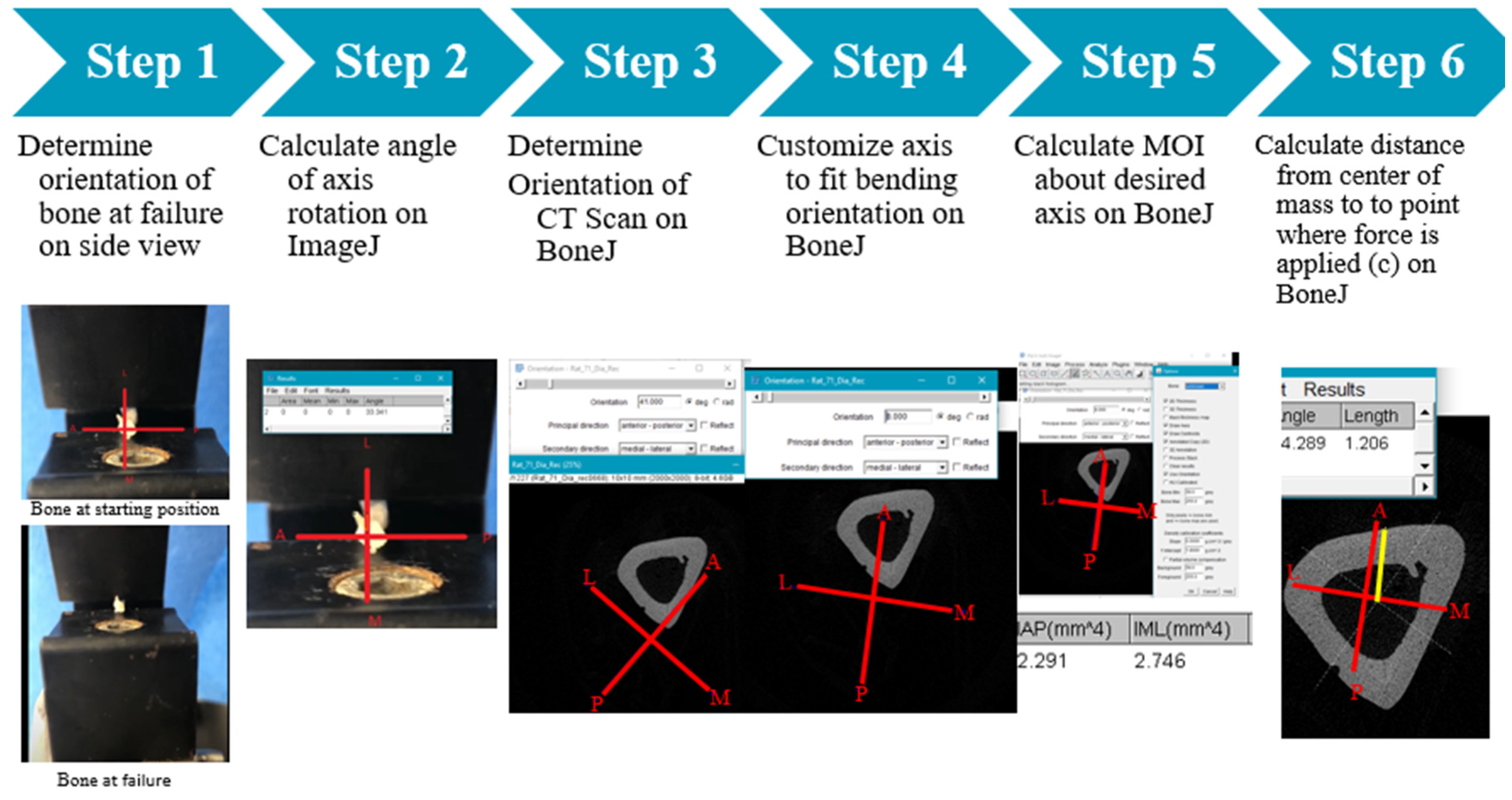 Bioengineering 11 00819 g004
